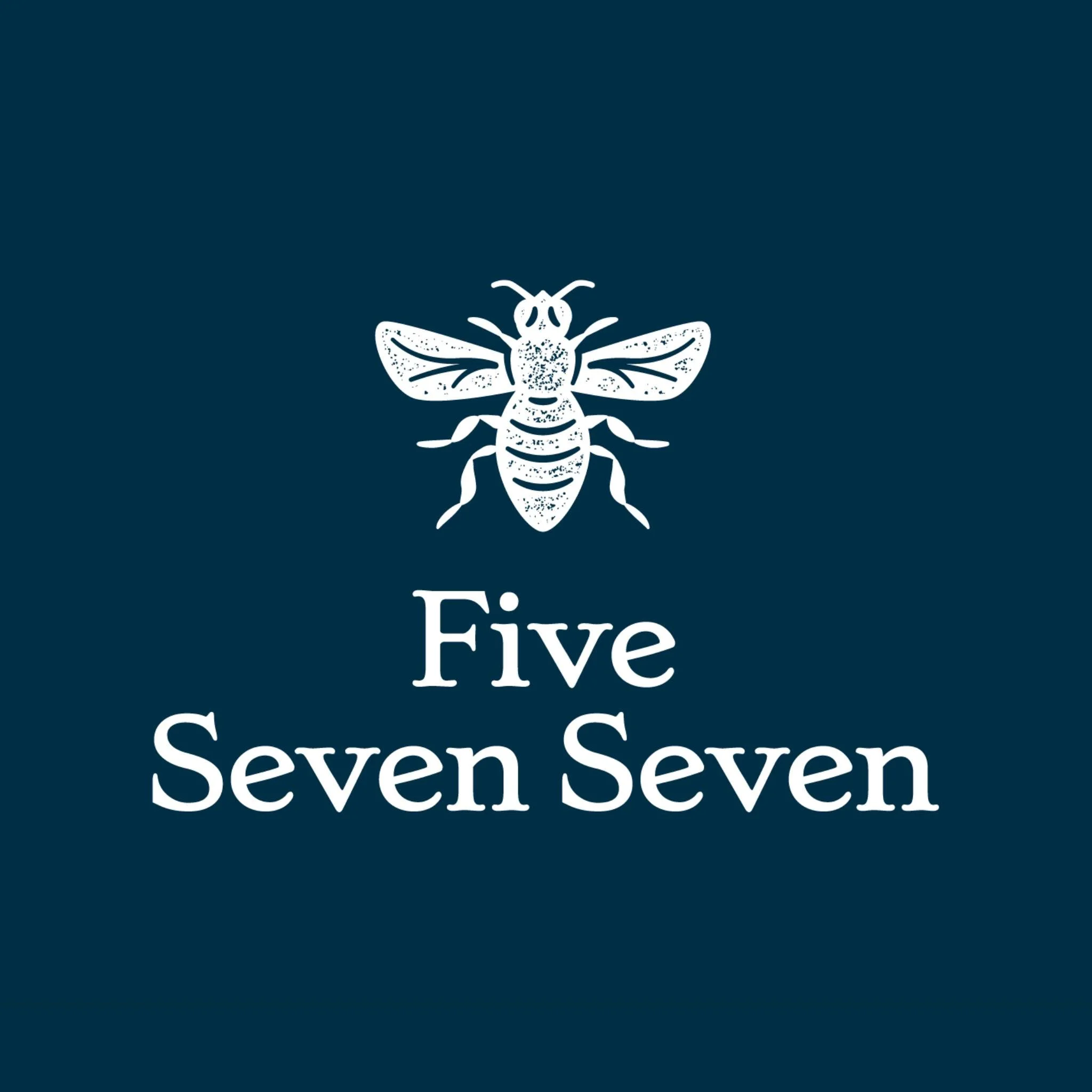 577 Foundation- Silhouette Swipe