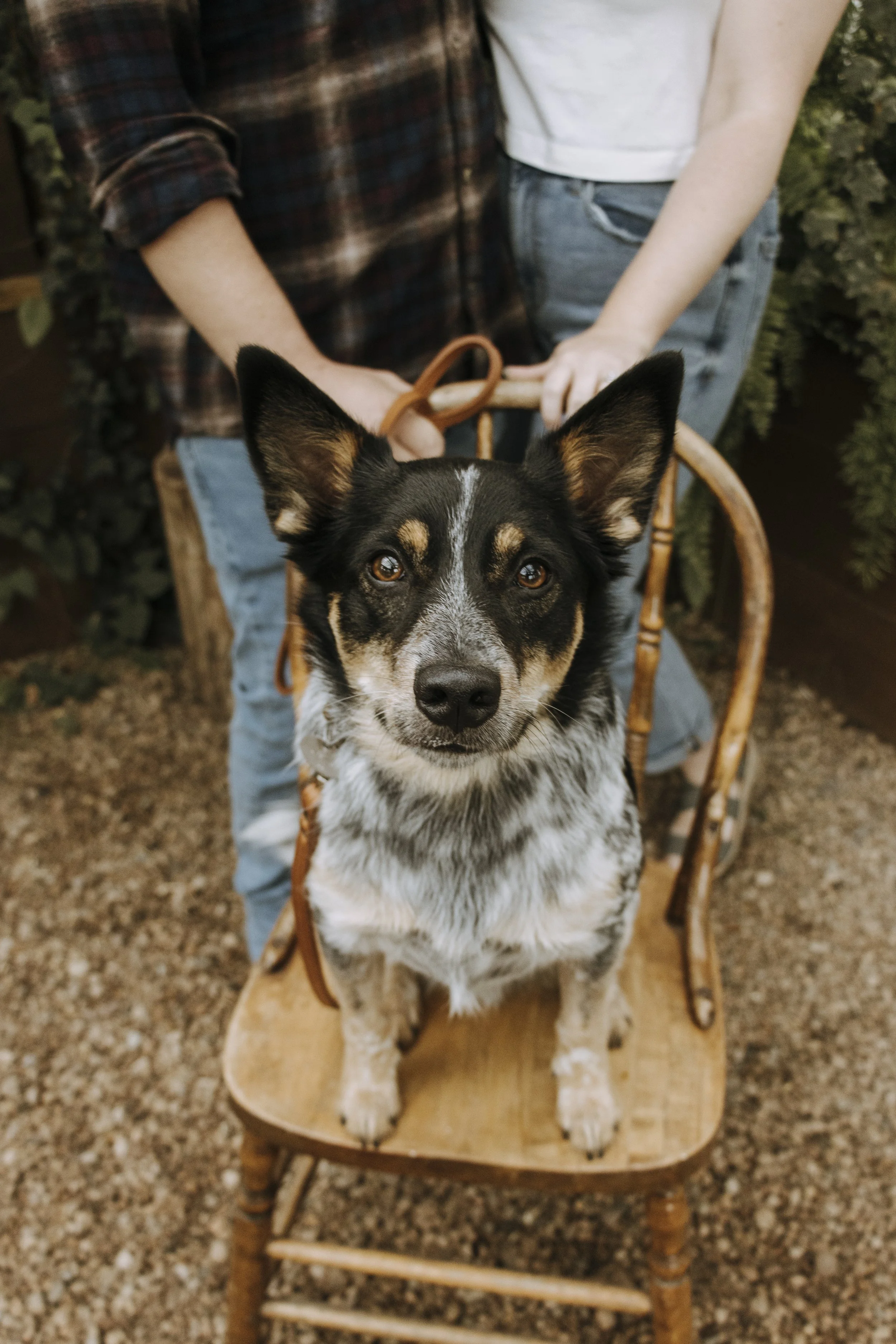 Jordan & Sarah - Sept 1st-3.jpg