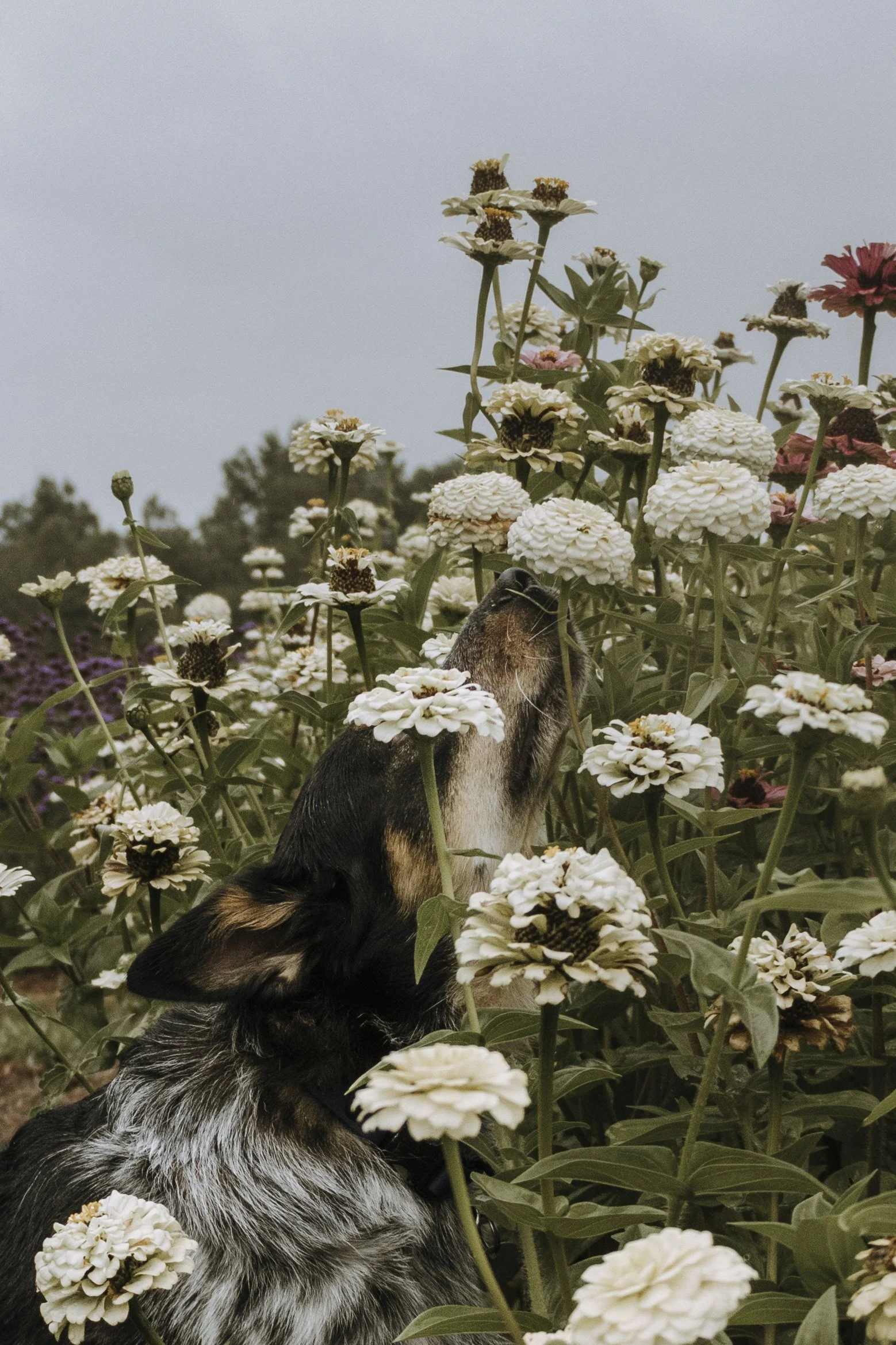 Jordan & Sarah - Sept 1st-37.jpg