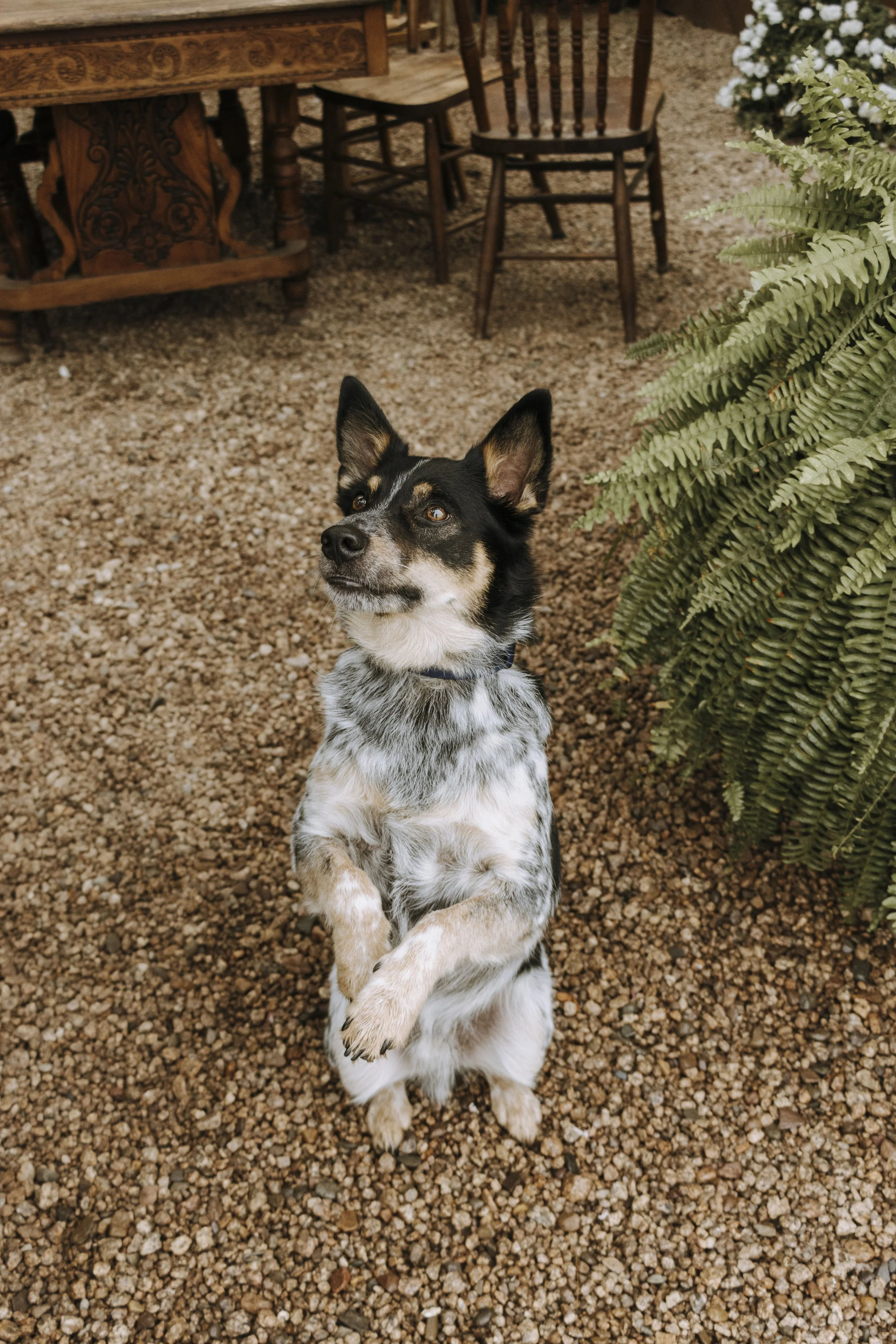 Jordan & Sarah - Sept 1st-29.jpg