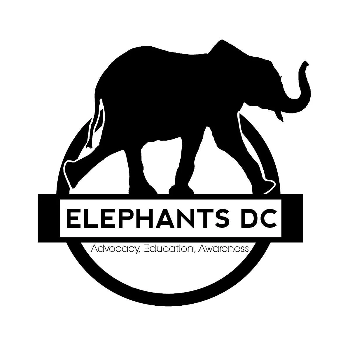 elephantsDC.jpg