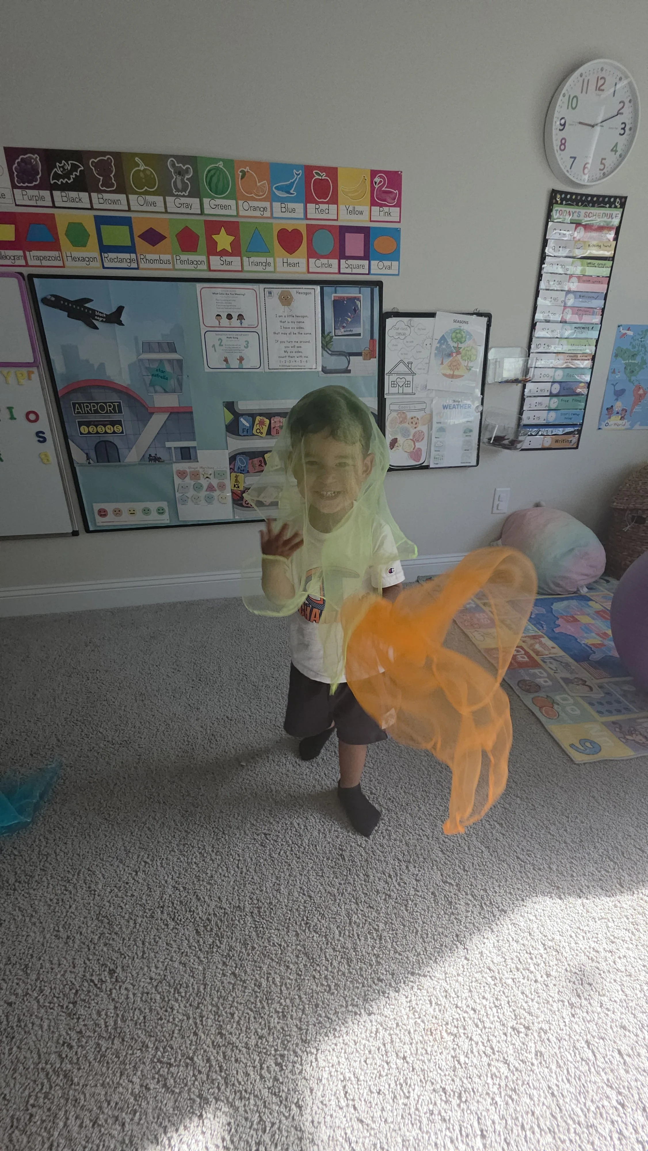 52079.jpg