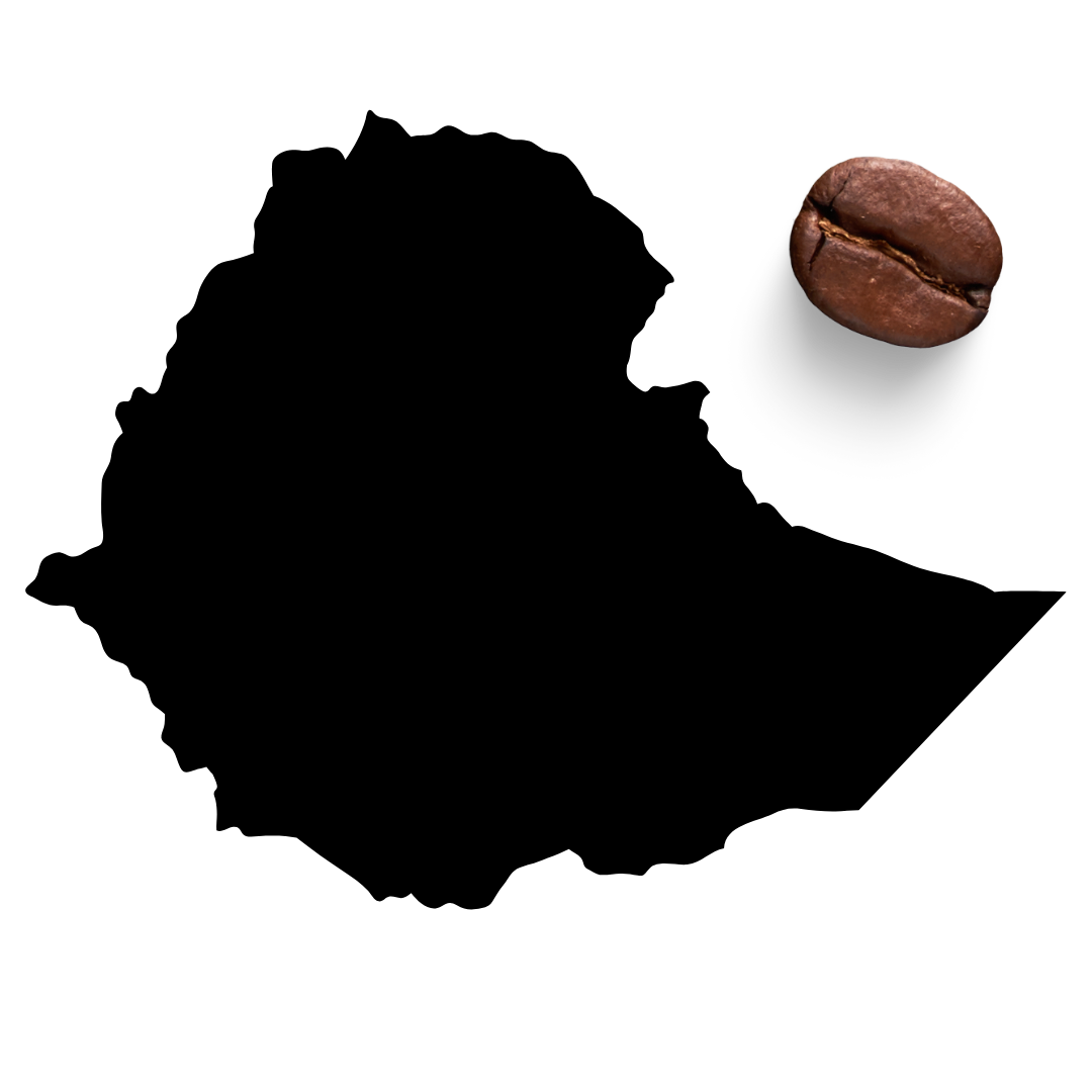 Untitled design (8).png