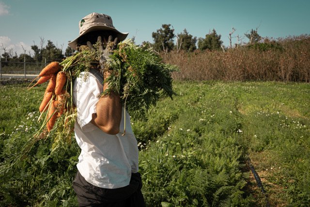 What Can Okinawa Teach Us About Living Well?