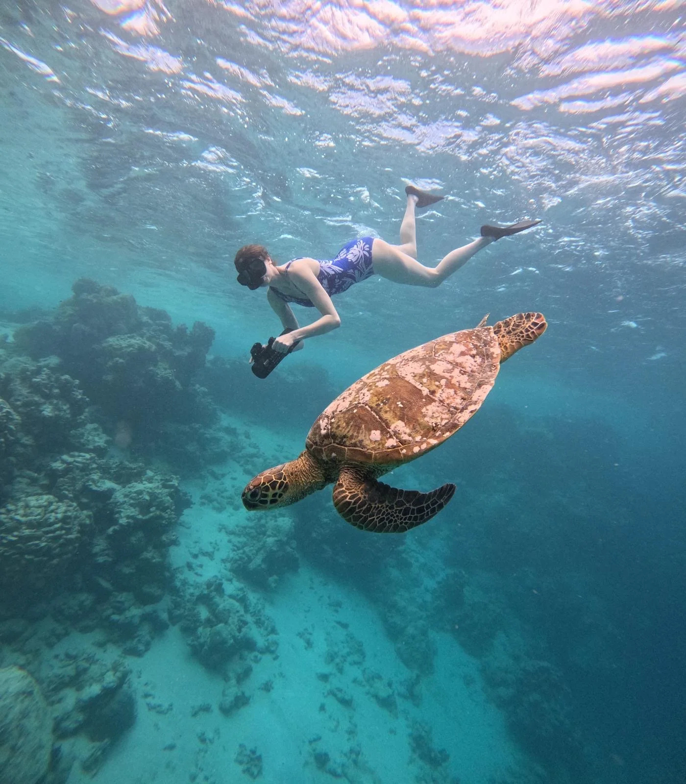 0faace7f-4801-49cd-9620-7930b8818395 (1).JPG