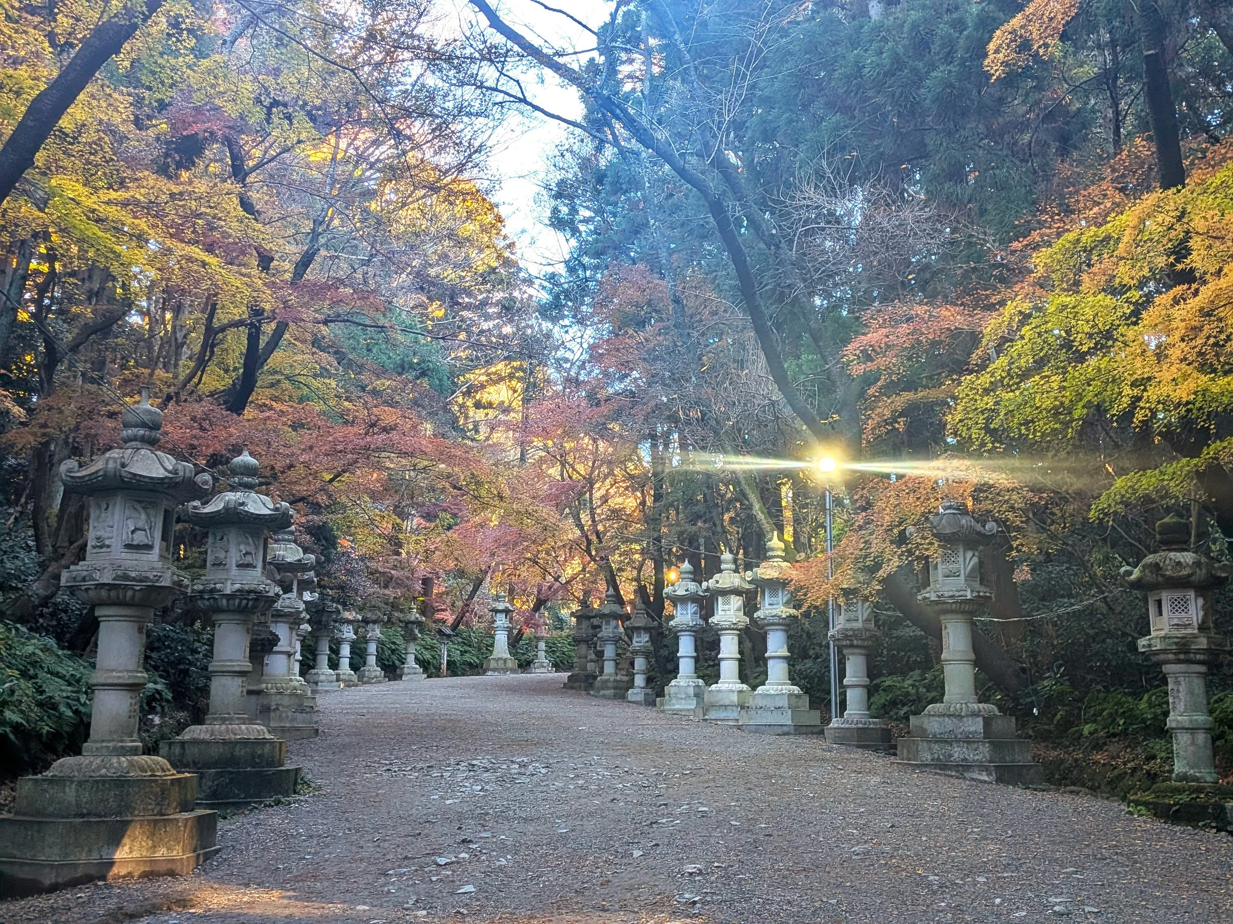 Katorijinguu1.jpg