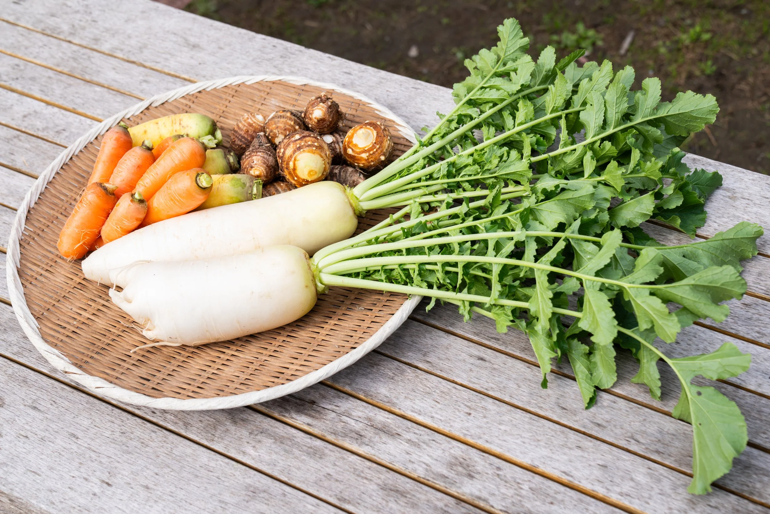 Vegetable Harvesting (Recommended) - 
Meet local farmers who grow organic vegetables and learn about their sustainable approach to farming. Harvest seasonal produce yourself, then bring it to a nearby farmhouse restaurant to enjoy a fresh farm-to-tab
