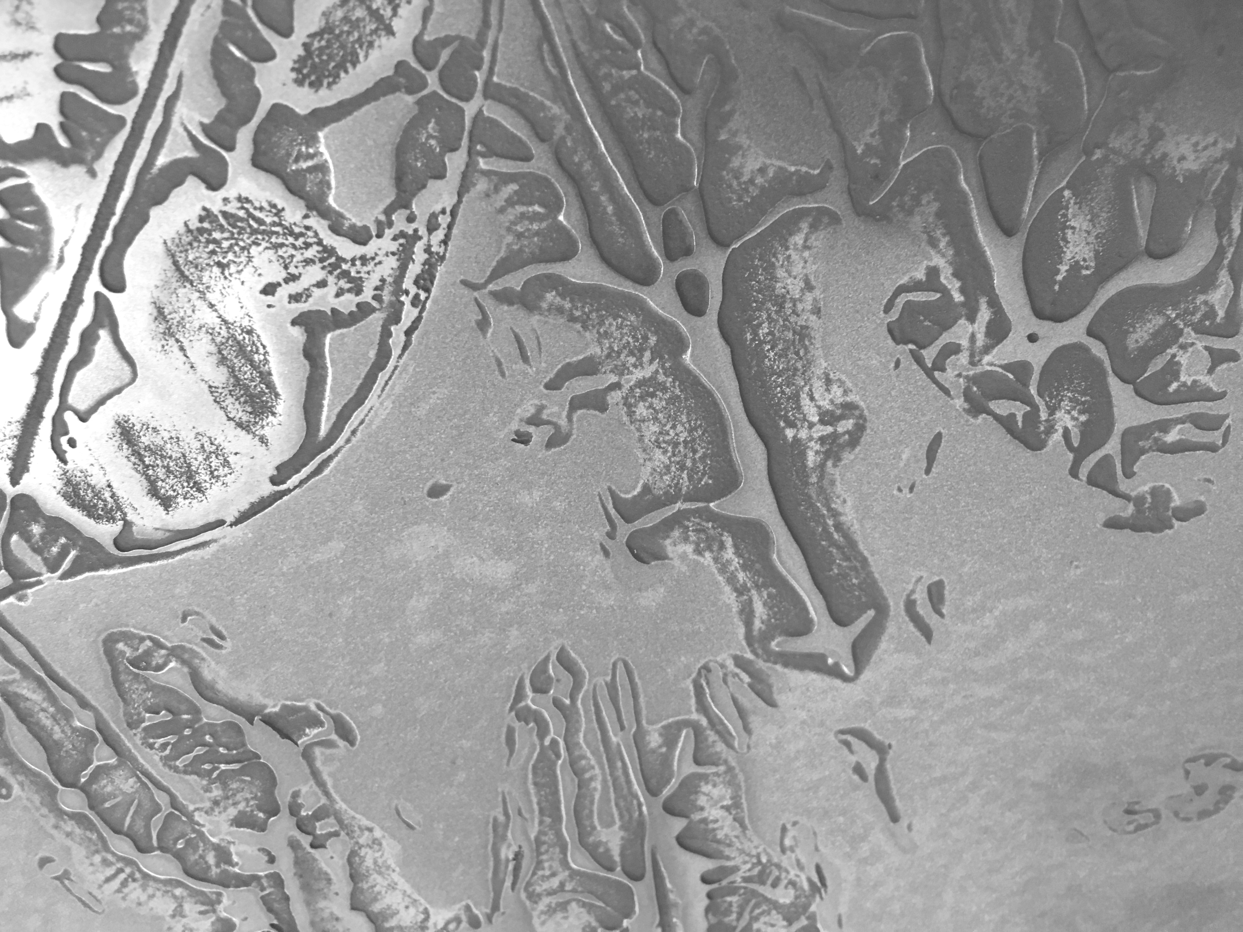 GMS2 Gunmetal silver leaves.png