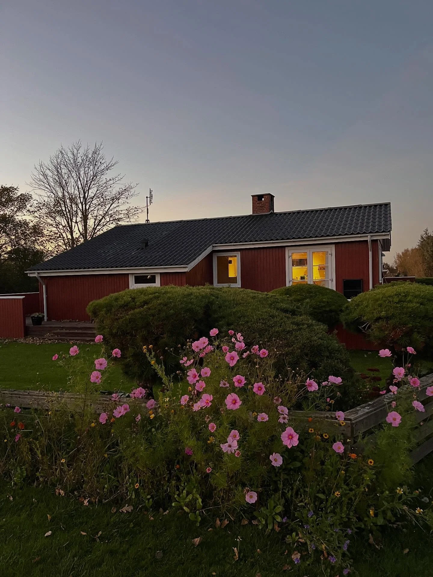 Efter&aring;rsferie i sommerhuset. Lyden af kaffemaskinen en stille morgen. Morgengryets farver over bugten. Duften af fyrretr&aelig; i n&aelig;sen. B&oslash;rn der drypper stearin. B&oslash;rn der vil i badeland. B&oslash;rn der dykker med snorkels&