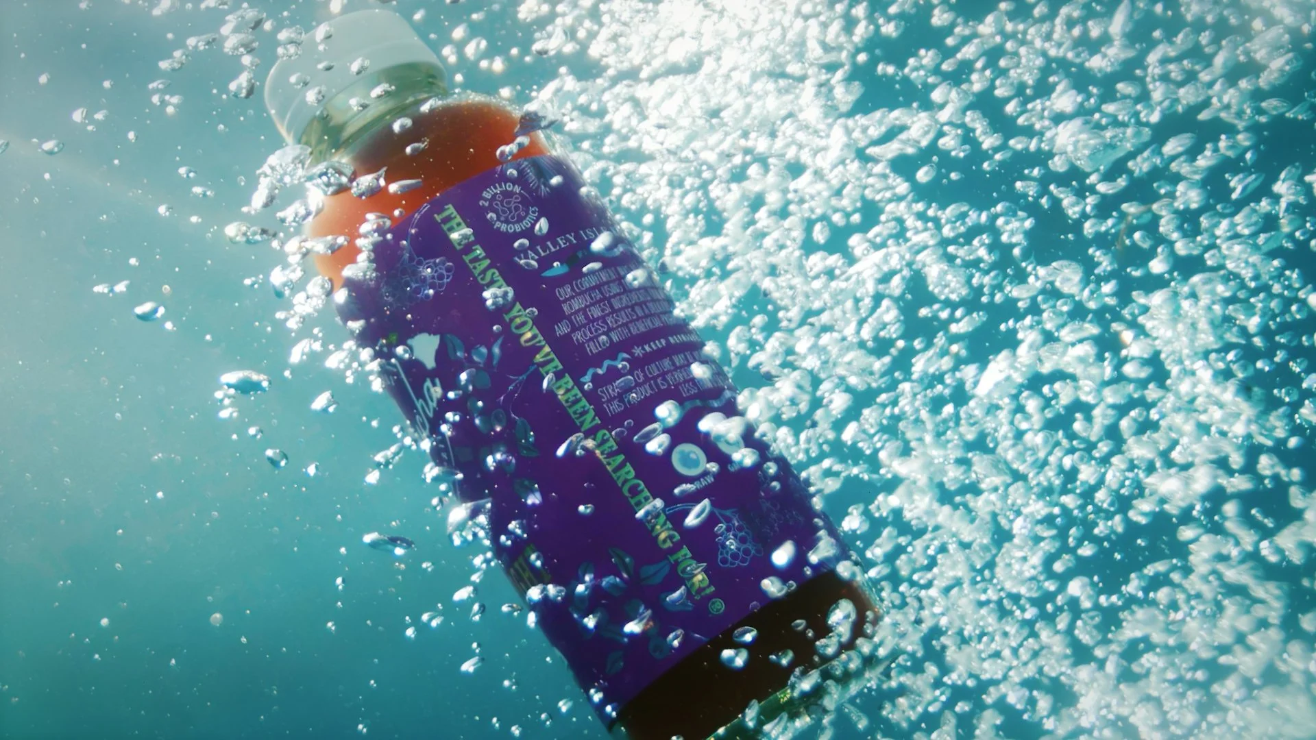 VIK 2025 PROMO.00_00_12_21.Still010 2.JPG