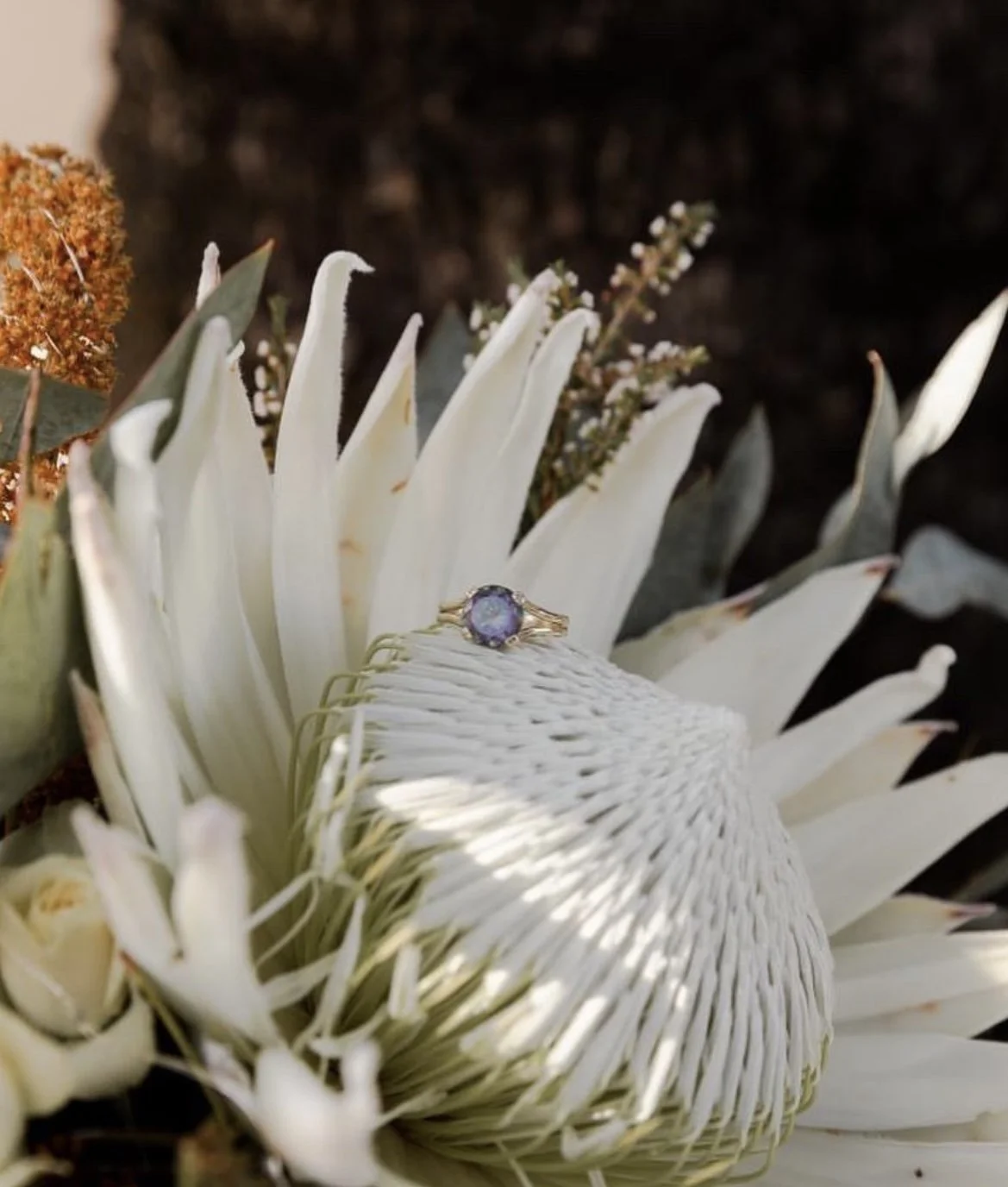 White protea flower with a gold ring featuring a purple gemstone placed on it.
