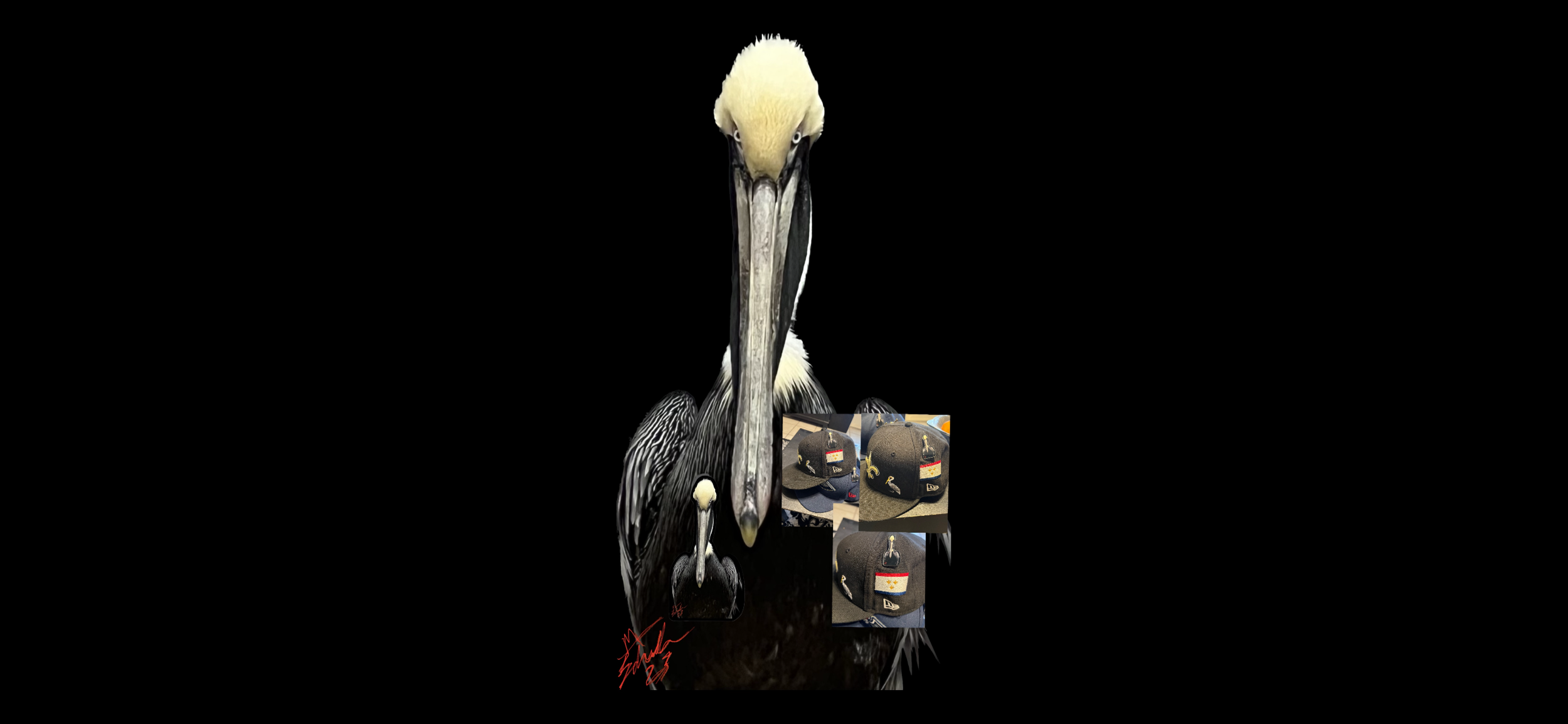 FC57C491-2B85-427F-8D84-CC996A032148.png