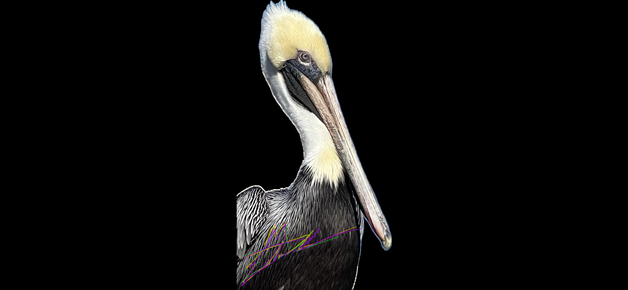 C8CB8A12-C4EF-4C53-AE6C-E986FFE09221.png