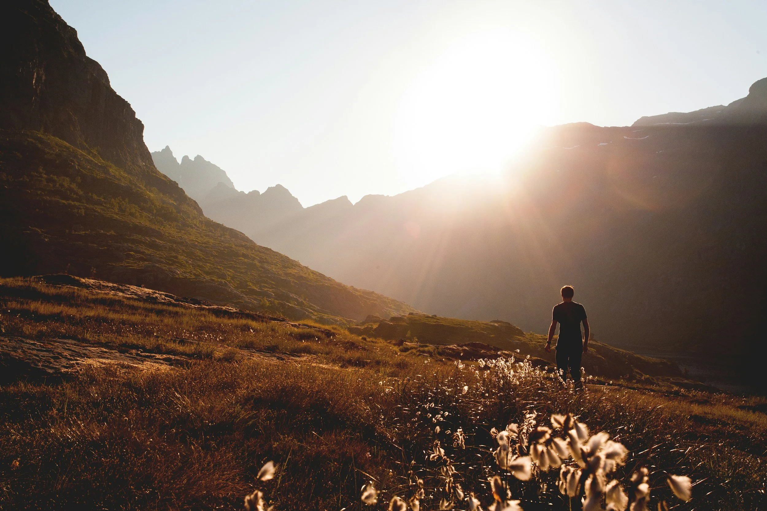 unsplash-image-TsMXK2W9hV0.jpg