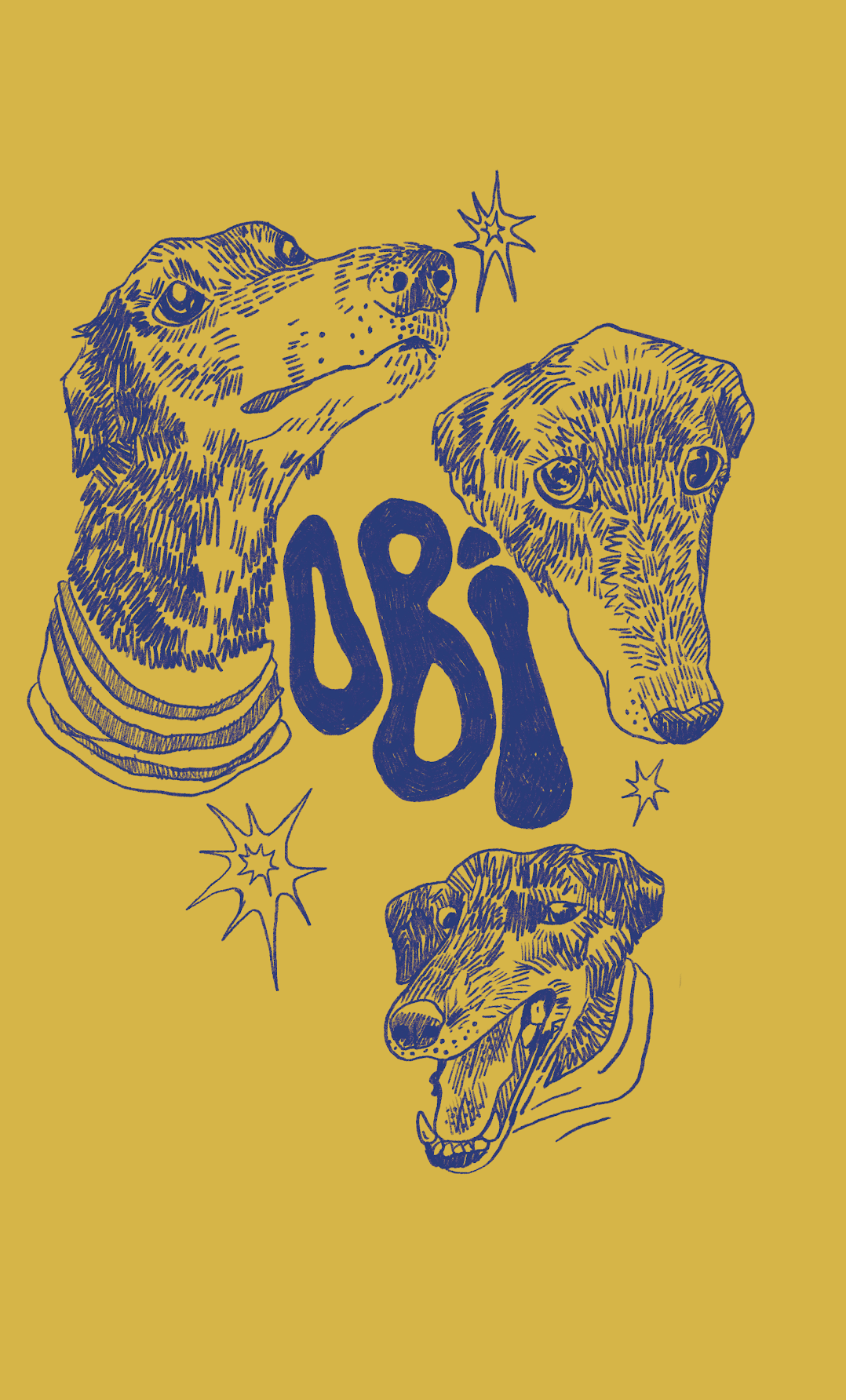 pet portrait, a combination of traditional and digital techniques married together