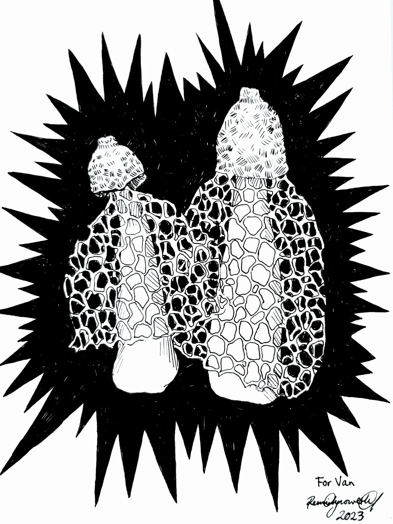 mushrooms drawn with a simple fineliner