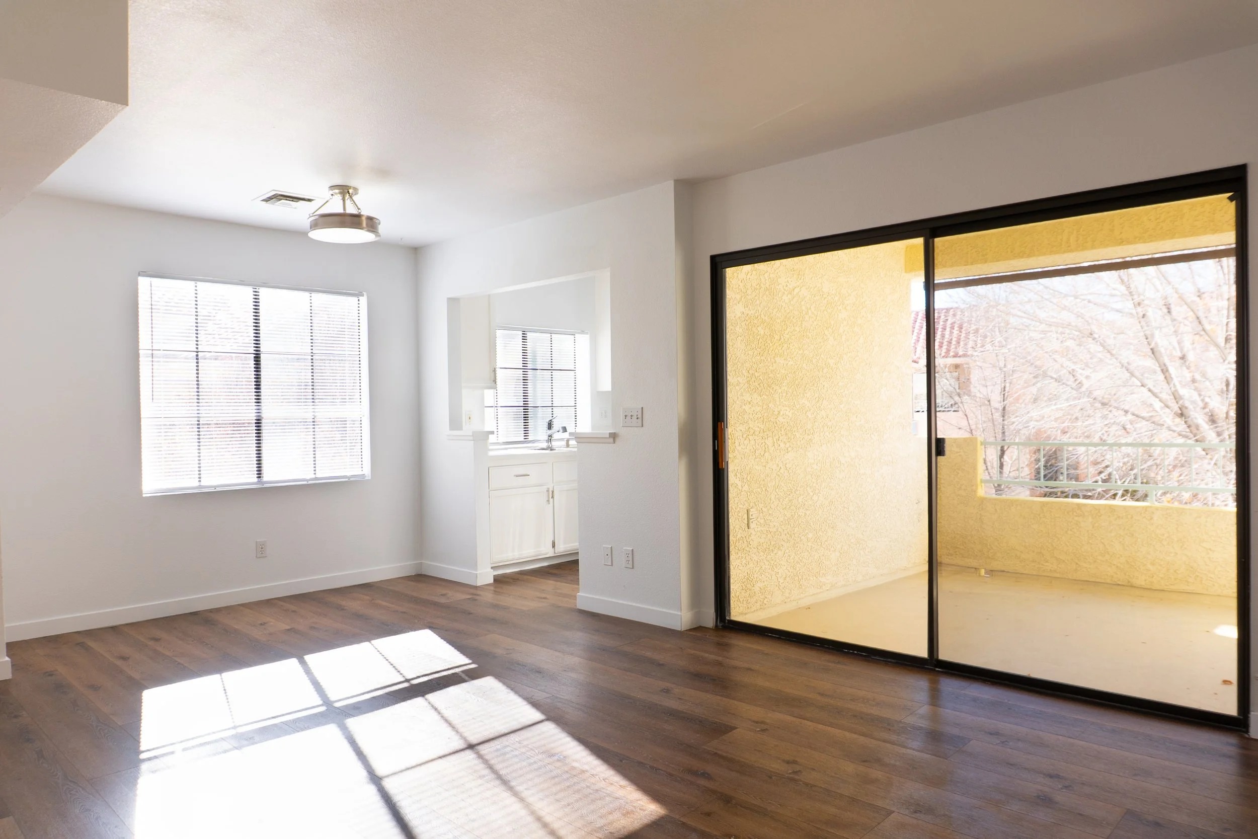 Photo Feb 25 2025, 9 38 39 AM.jpg