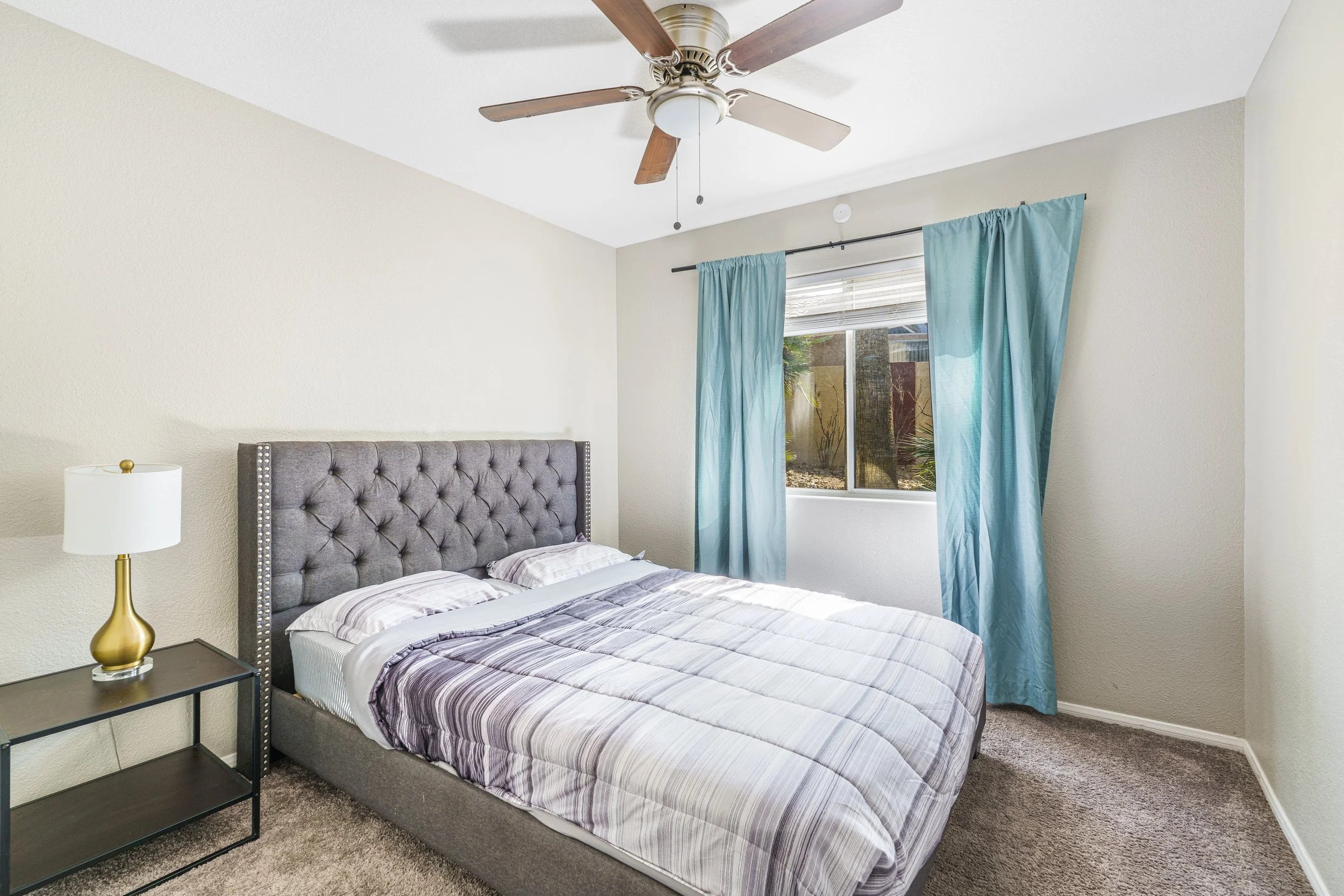 Photo Mar 29 2025, 2 20 43 PM.jpg