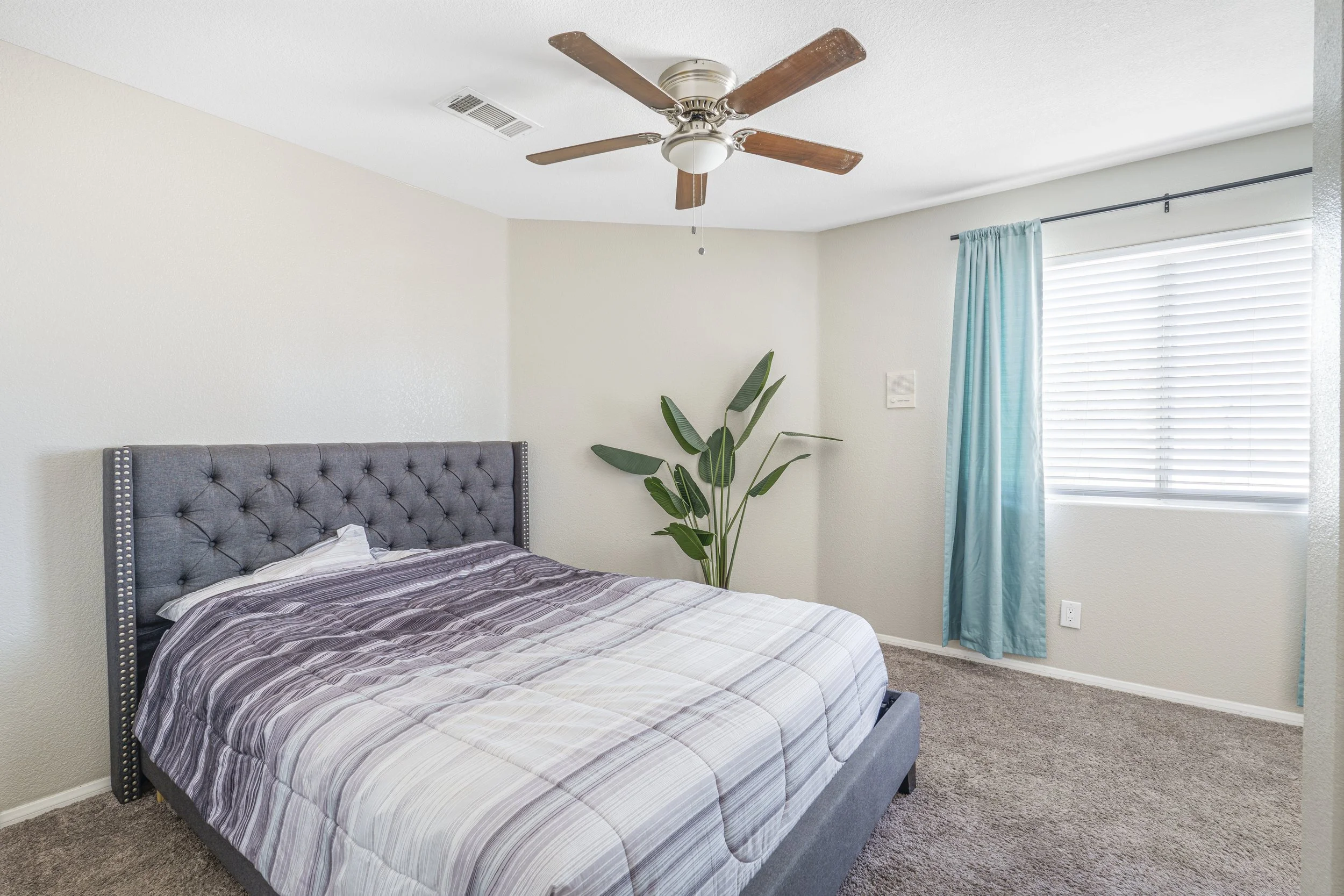 Photo Mar 29 2025, 2 21 59 PM.jpg