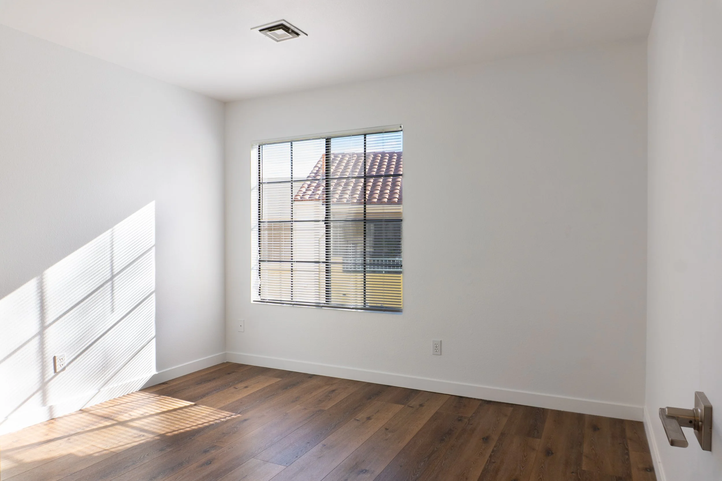 Photo Feb 25 2025, 9 56 19 AM.jpg