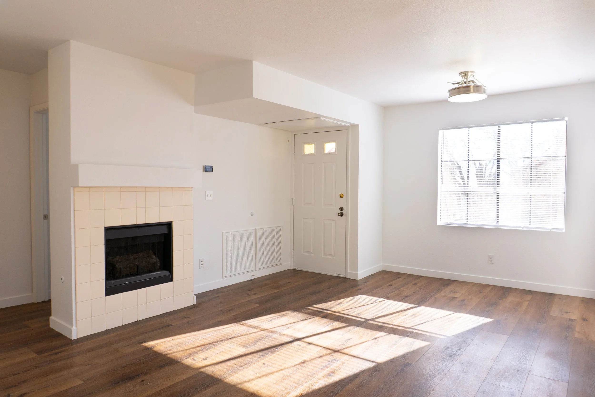 Photo Feb 25 2025, 9 40 43 AM.jpg