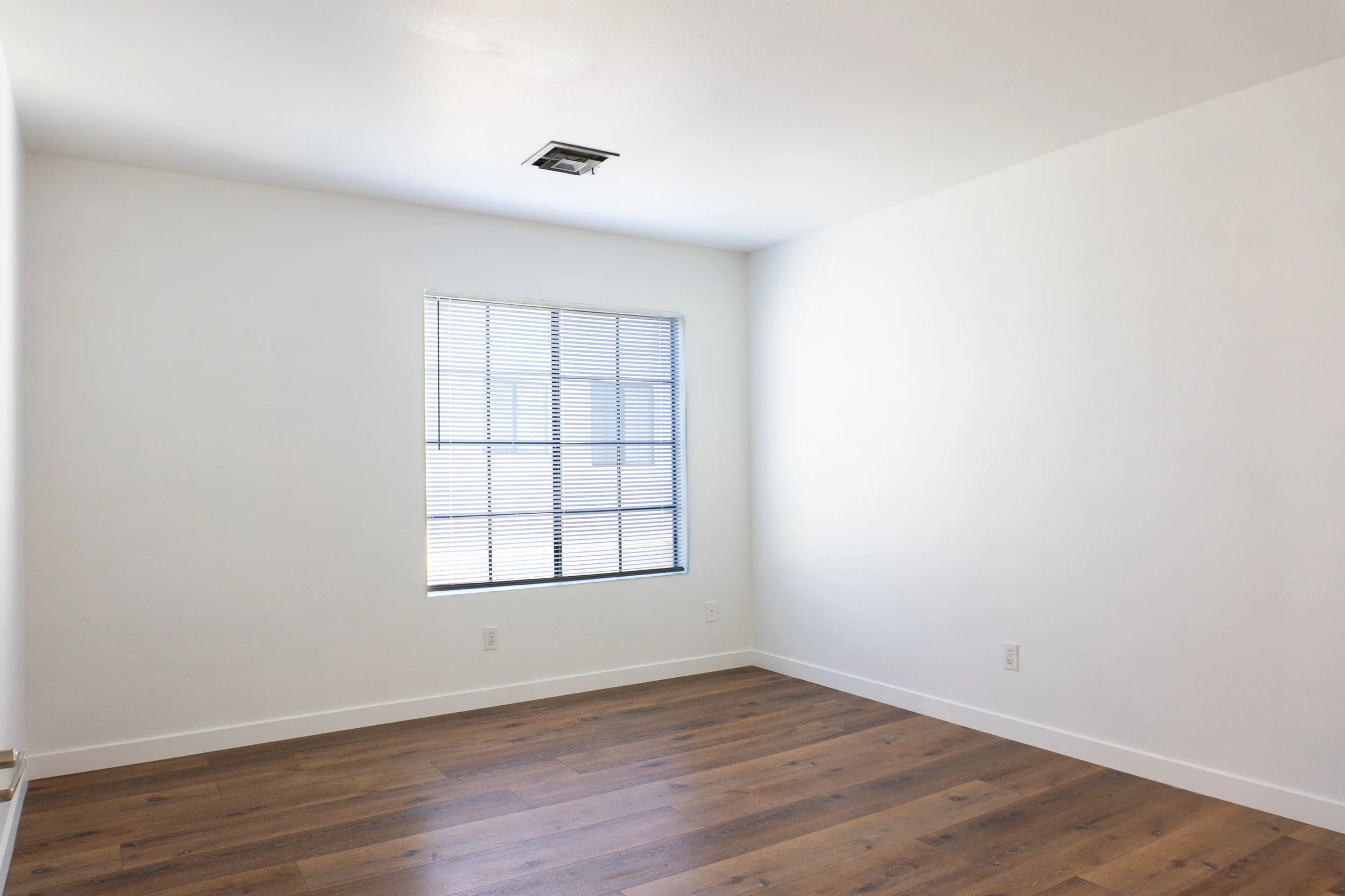 Photo Feb 25 2025, 9 43 38 AM.jpg