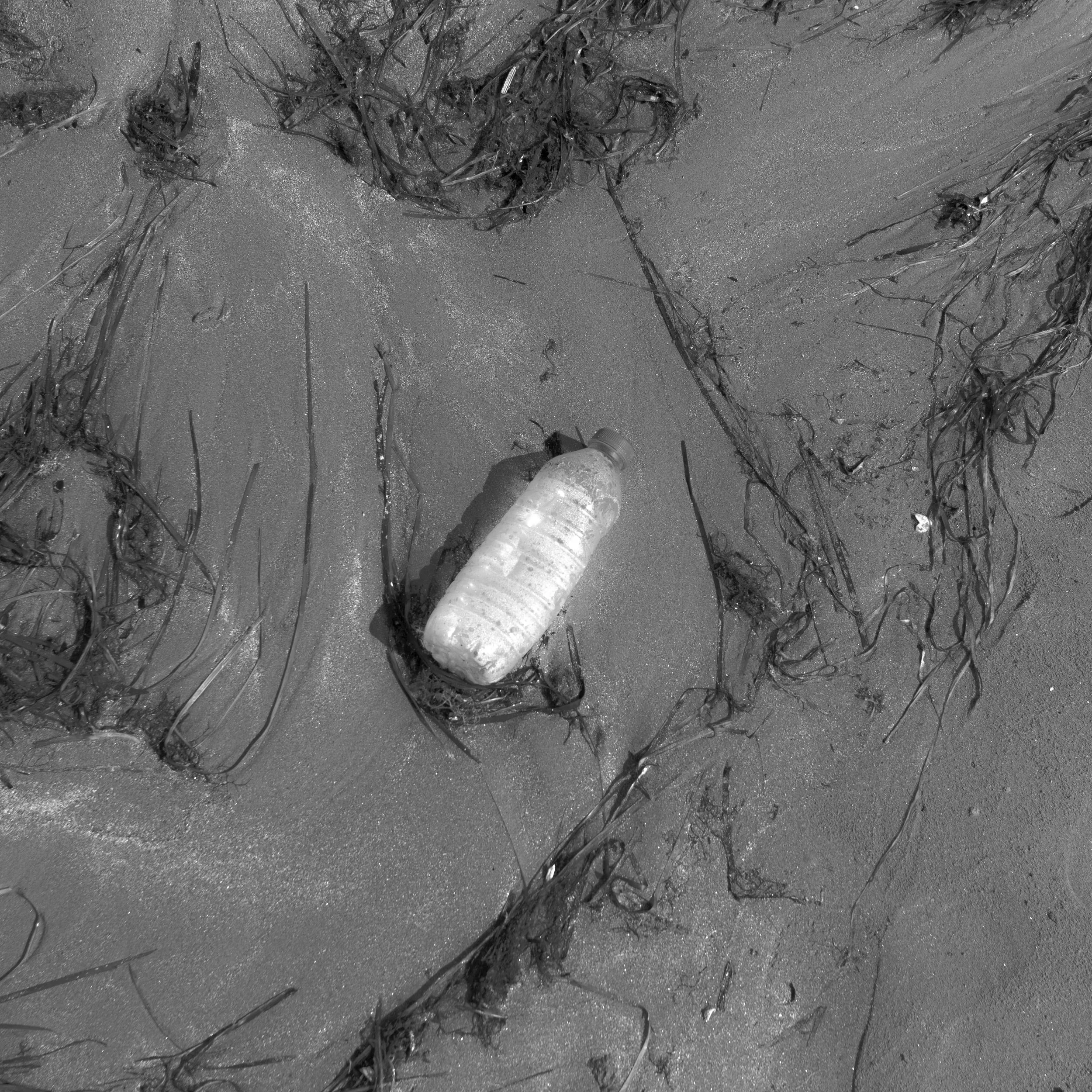 Una bottiglia di plastica abbandonata sulla sabbia vicino a ciuffi di alghe e detriti