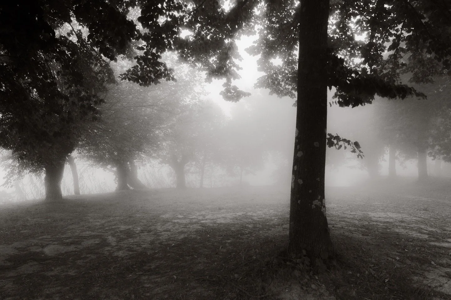 &hellip;.-𝑙𝑒𝑡𝑡𝑖𝑛𝑔 𝑔𝑜...-&hellip;.-..

#etherealphotography #ecosophy