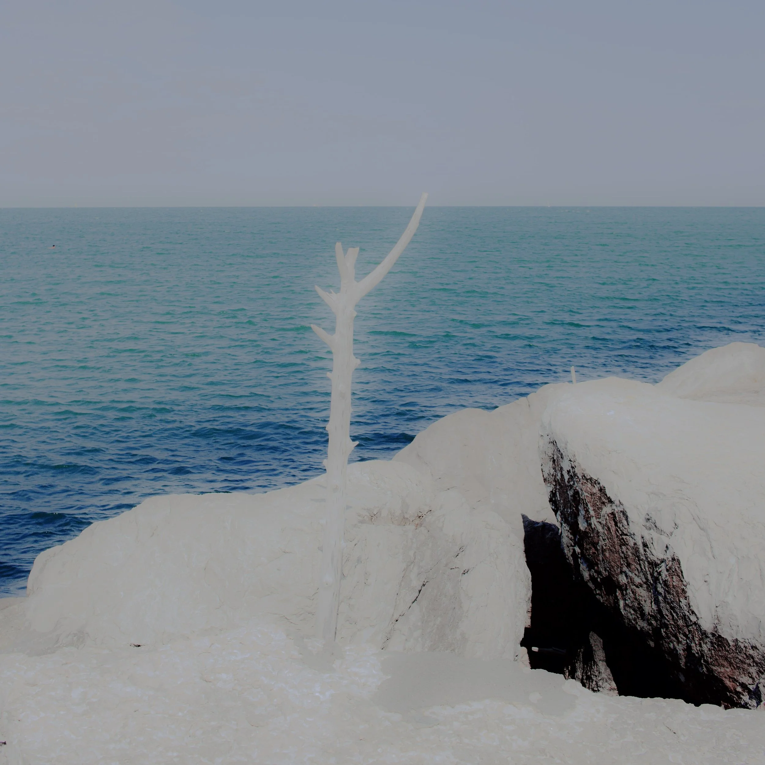 Spiaggia con acque calme, rocce chiare, e un albero bianco senza foglie lungo la costa.