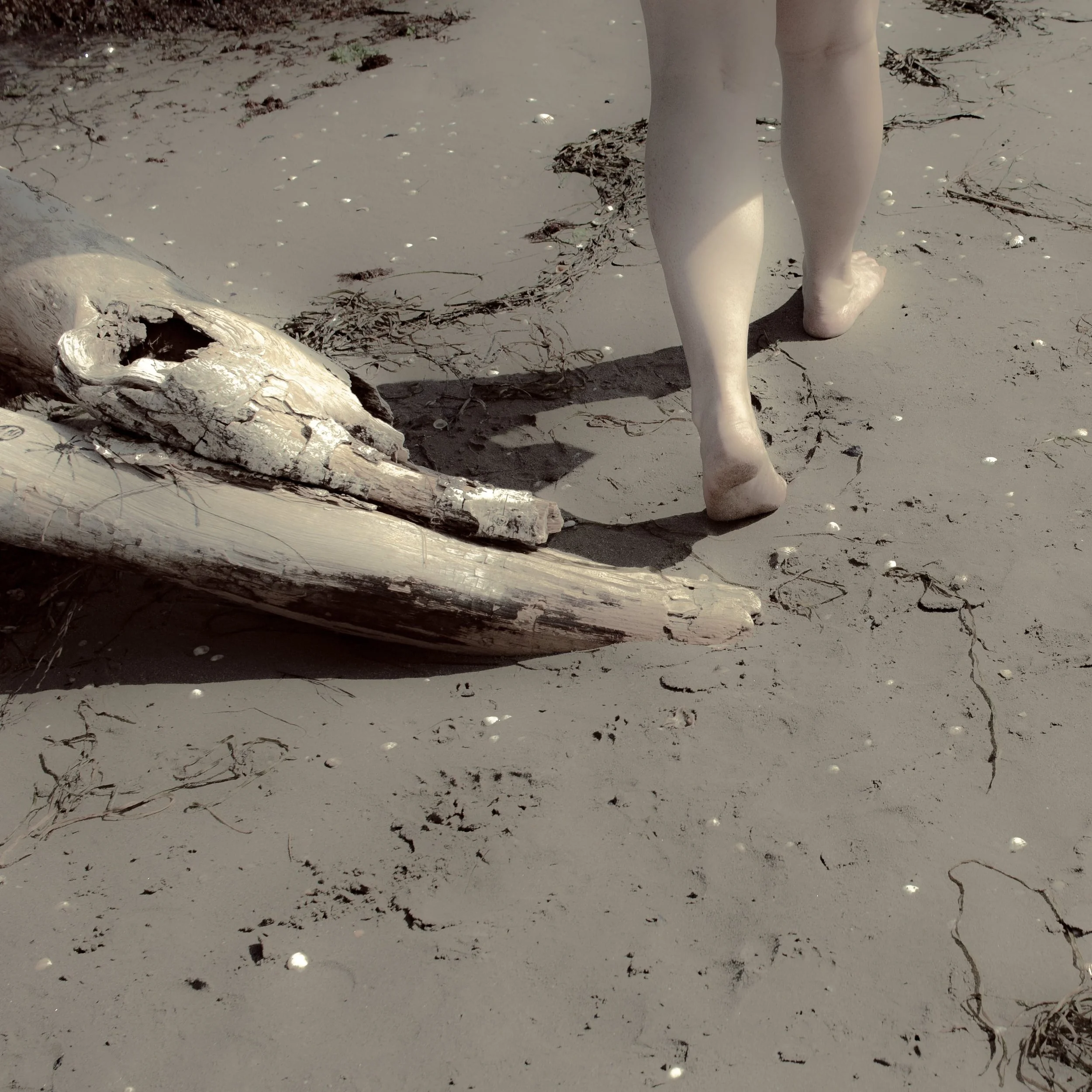 Immagine di una persona che cammina a piedi nudi sulla spiaggia, vicino a un tronco di legno, con sabbia chiara e piccole conchiglie.