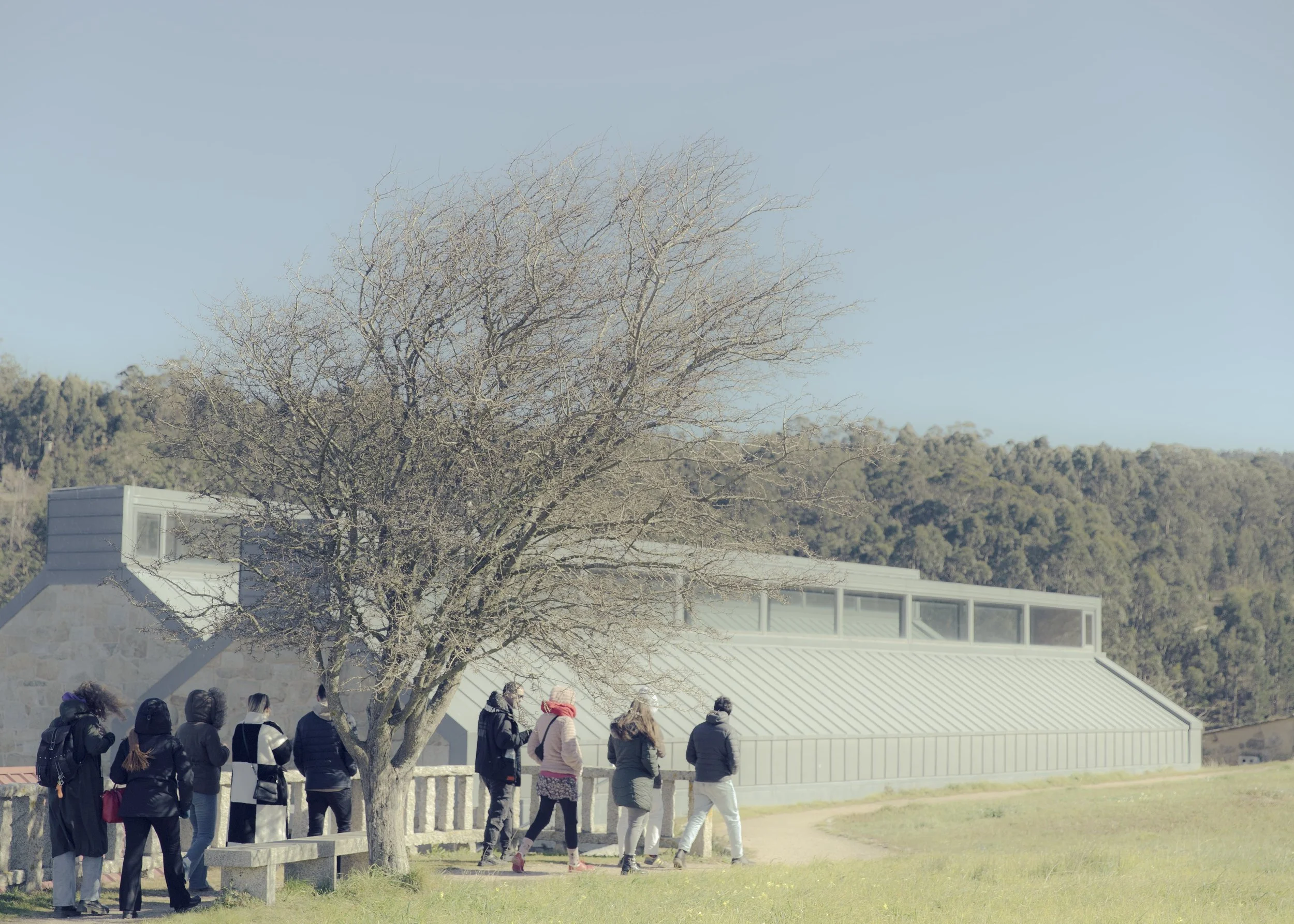 Gruppo di persone camminando lungo un sentiero sulla strada che attraversa un parco, con un albero spoglio di rami e un edificio di vetro e metallo sullo sfondo, in un paesaggio naturale con colline e aria di giorno.