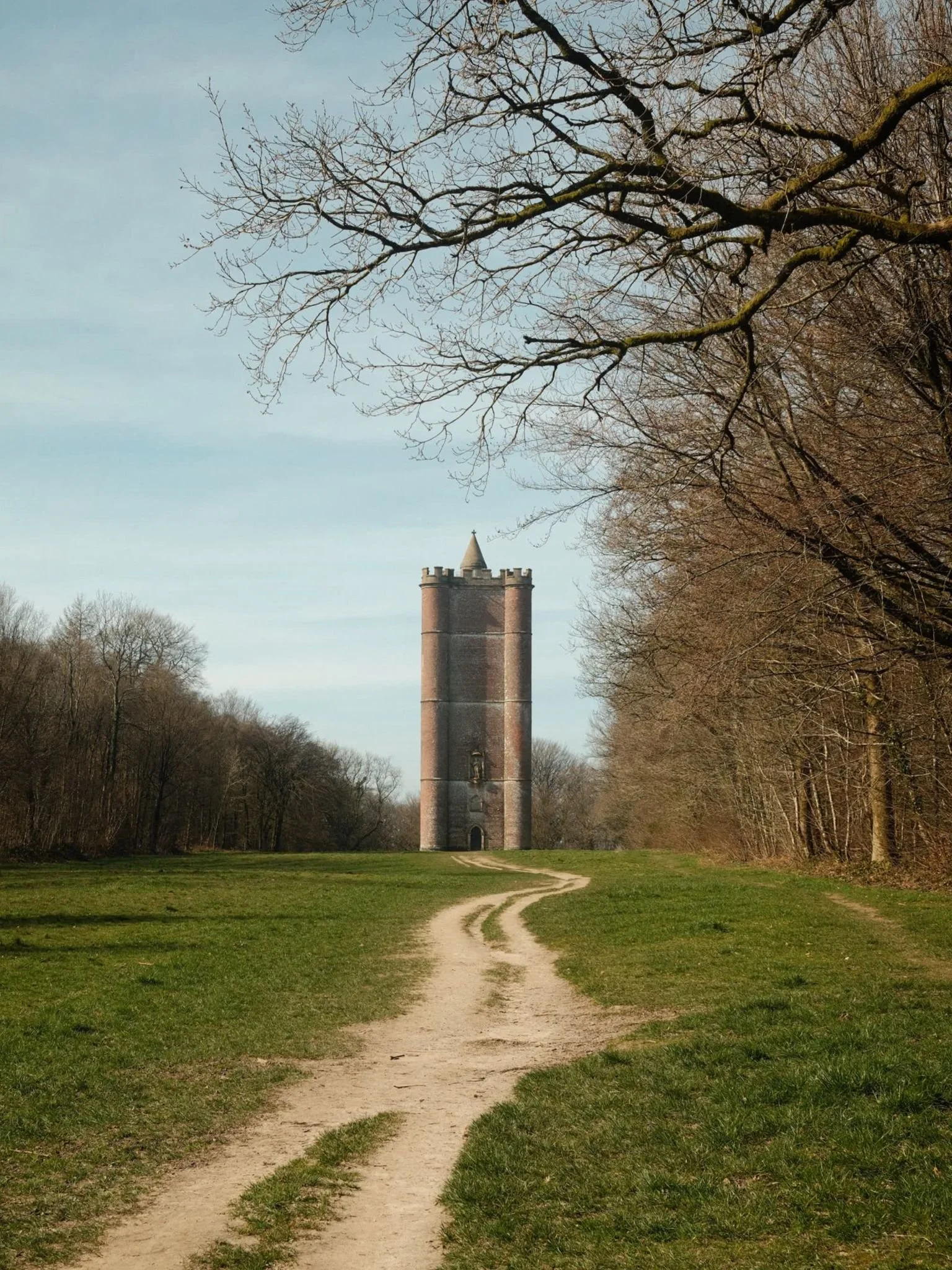 A Stroll in the Woods