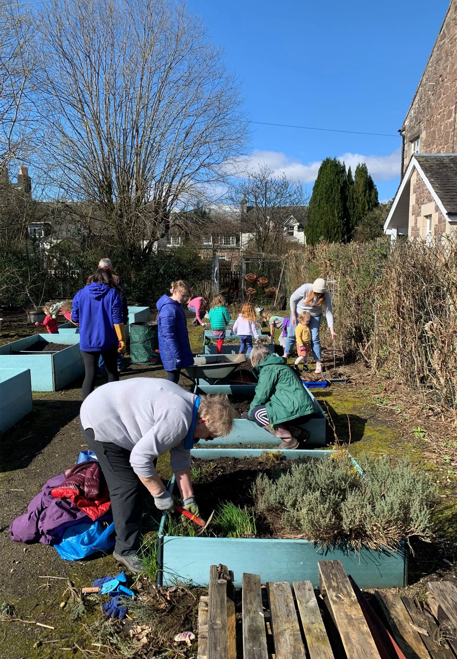 Sow, Grow & Spring clean