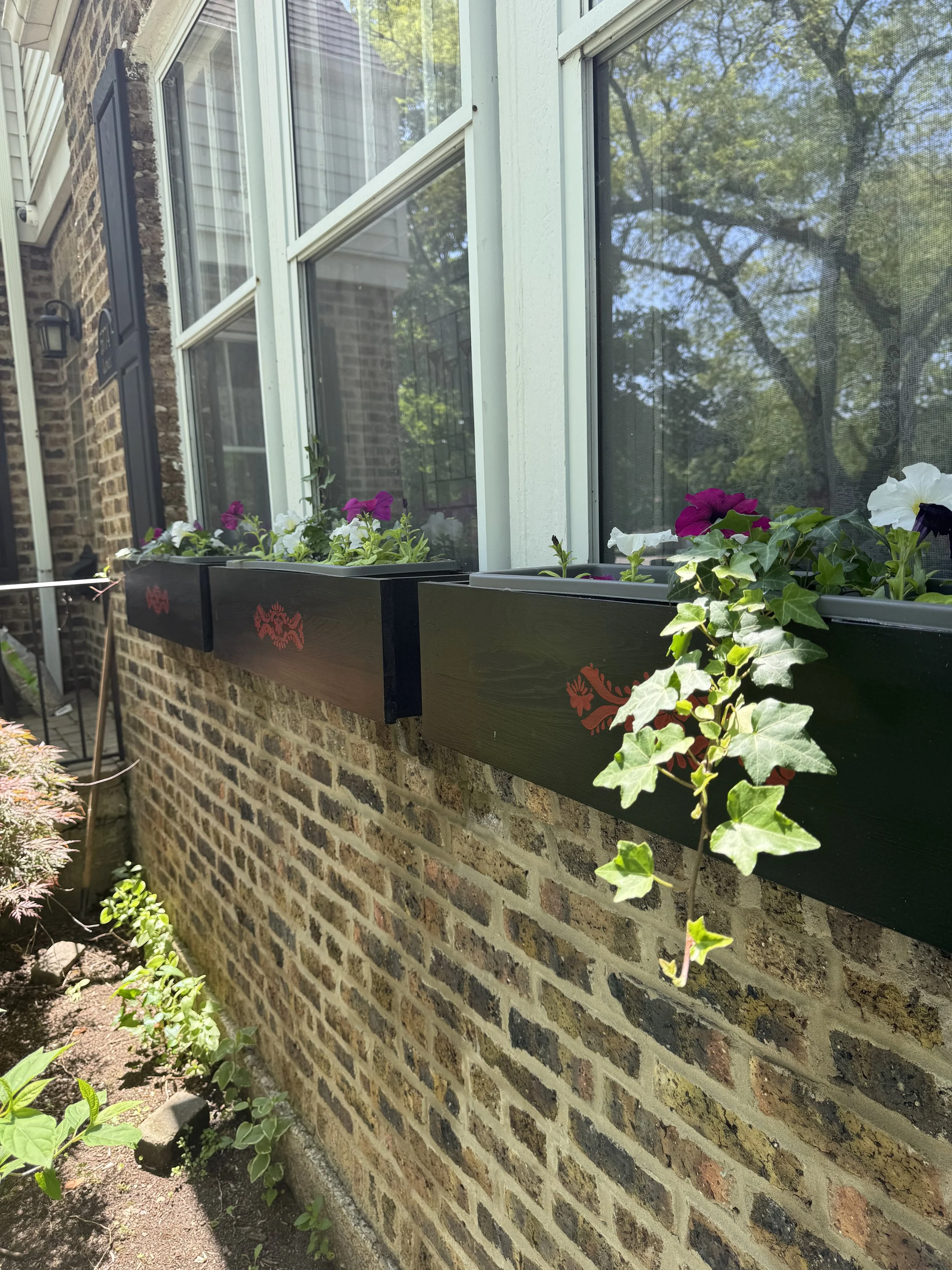 Window Boxes