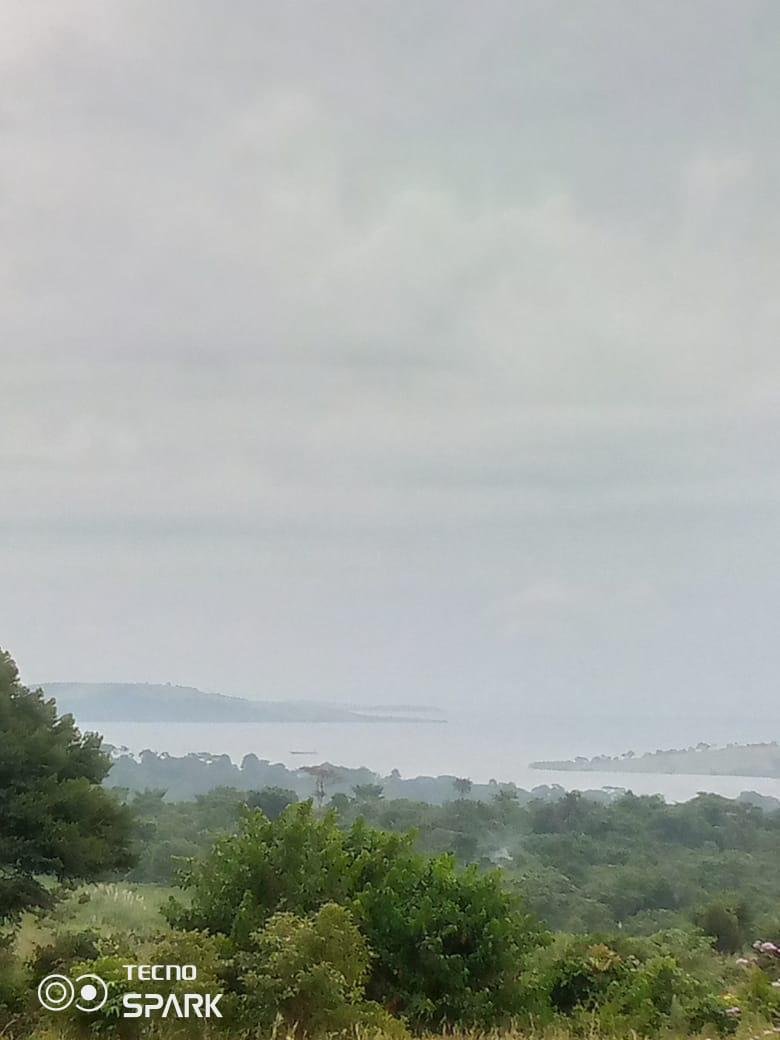 PHOTO-2024-01-27-16-51-03 (4).jpg