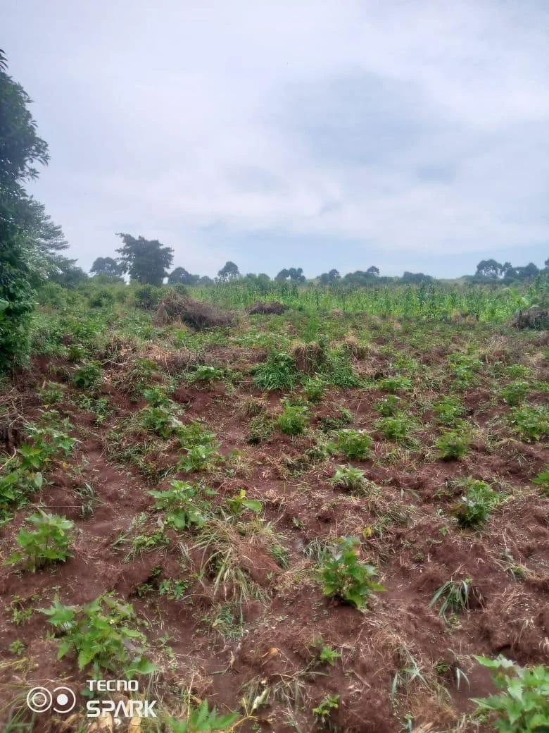 PHOTO-2024-01-27-16-51-03 (3).jpg