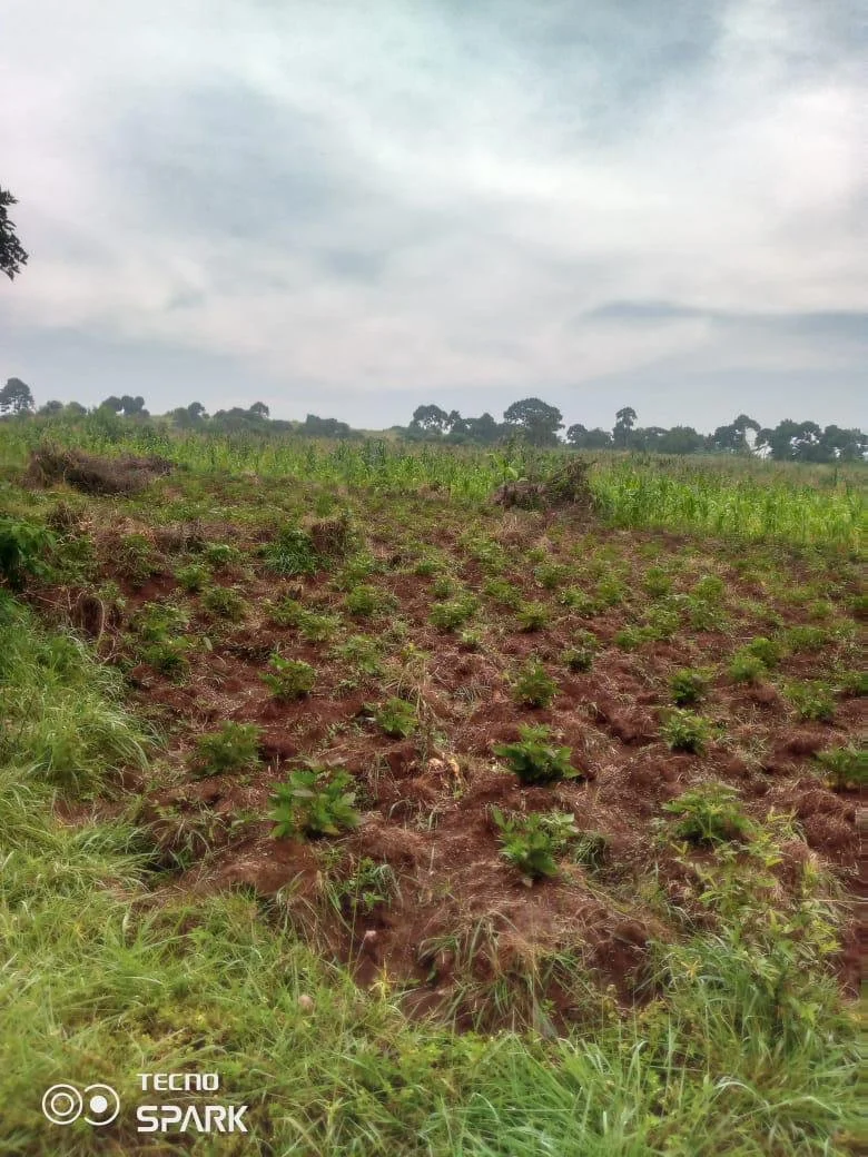 PHOTO-2024-01-27-16-51-03 (5).jpg