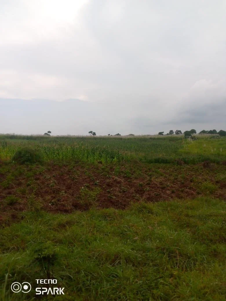 PHOTO-2024-01-27-16-51-03 (2).jpg