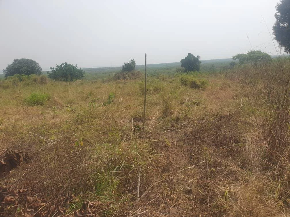 PHOTO-2024-01-27-16-51-03 (7).jpg