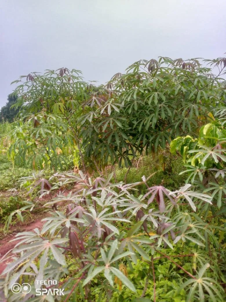 PHOTO-2024-01-27-16-51-03 (6).jpg