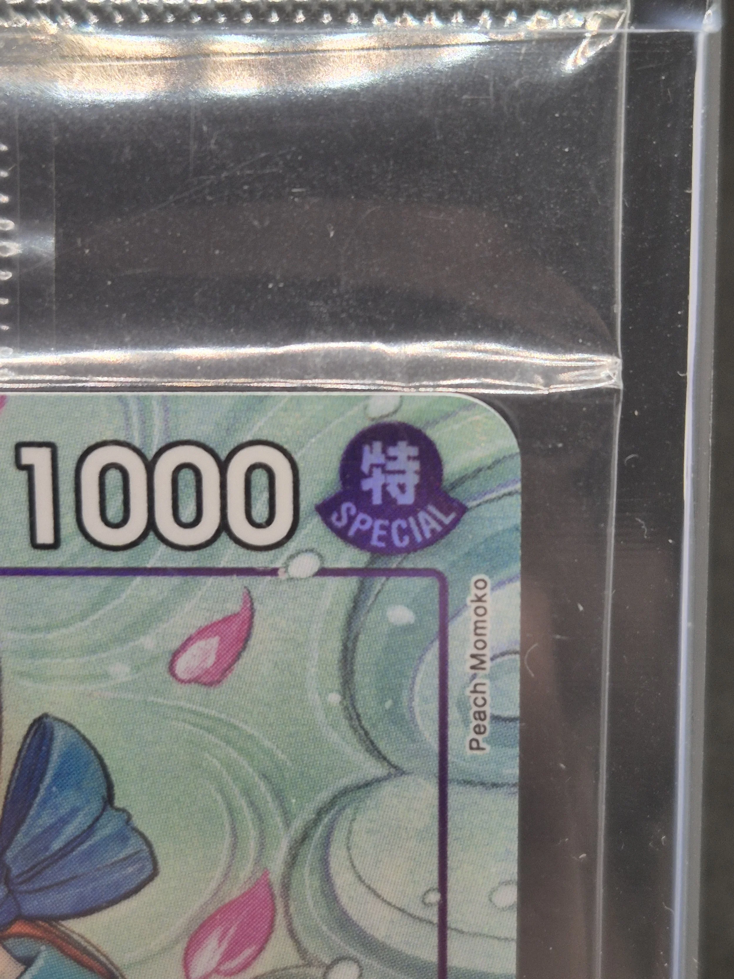 1000088102.jpg