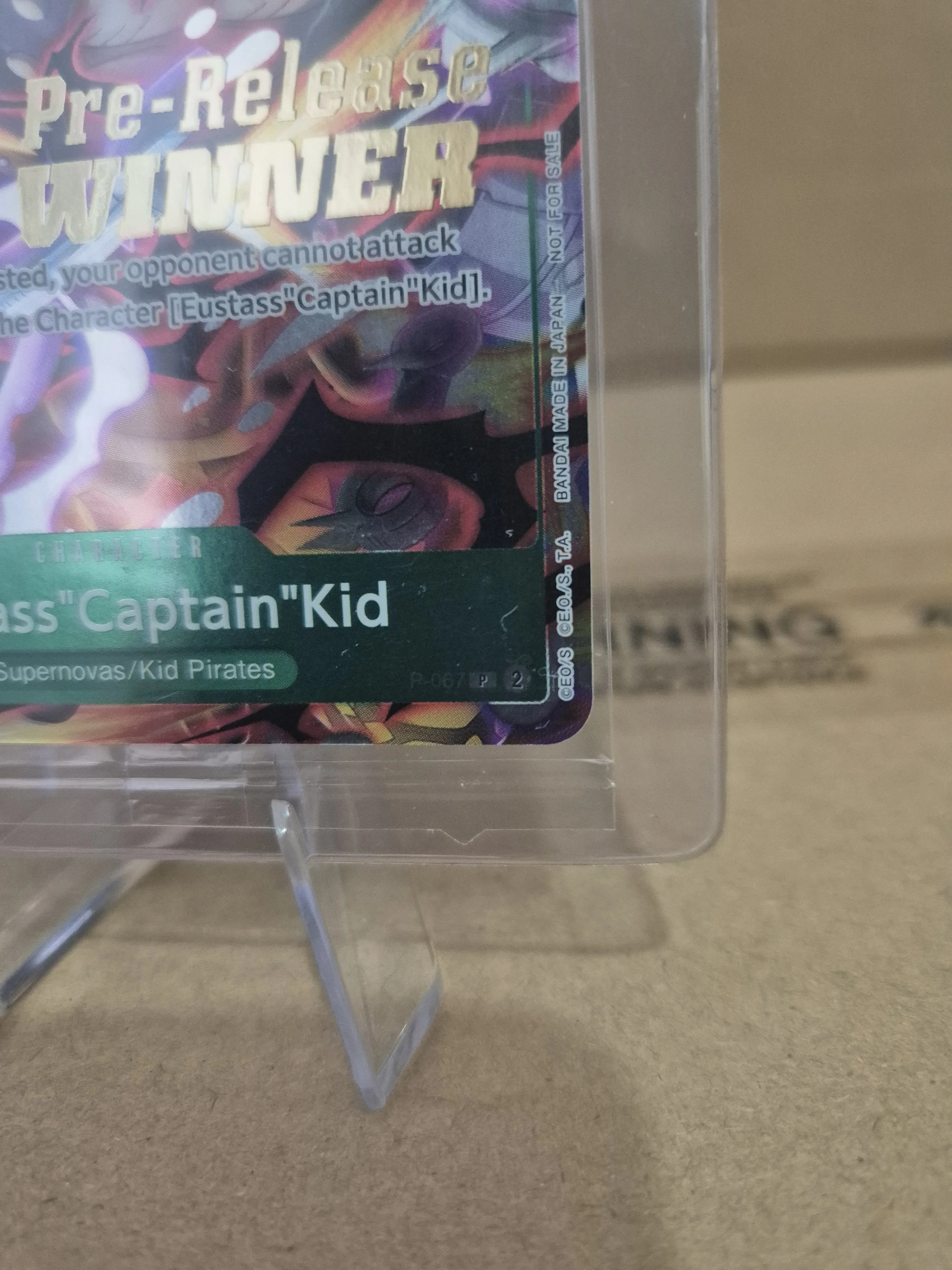 1000087630.jpg
