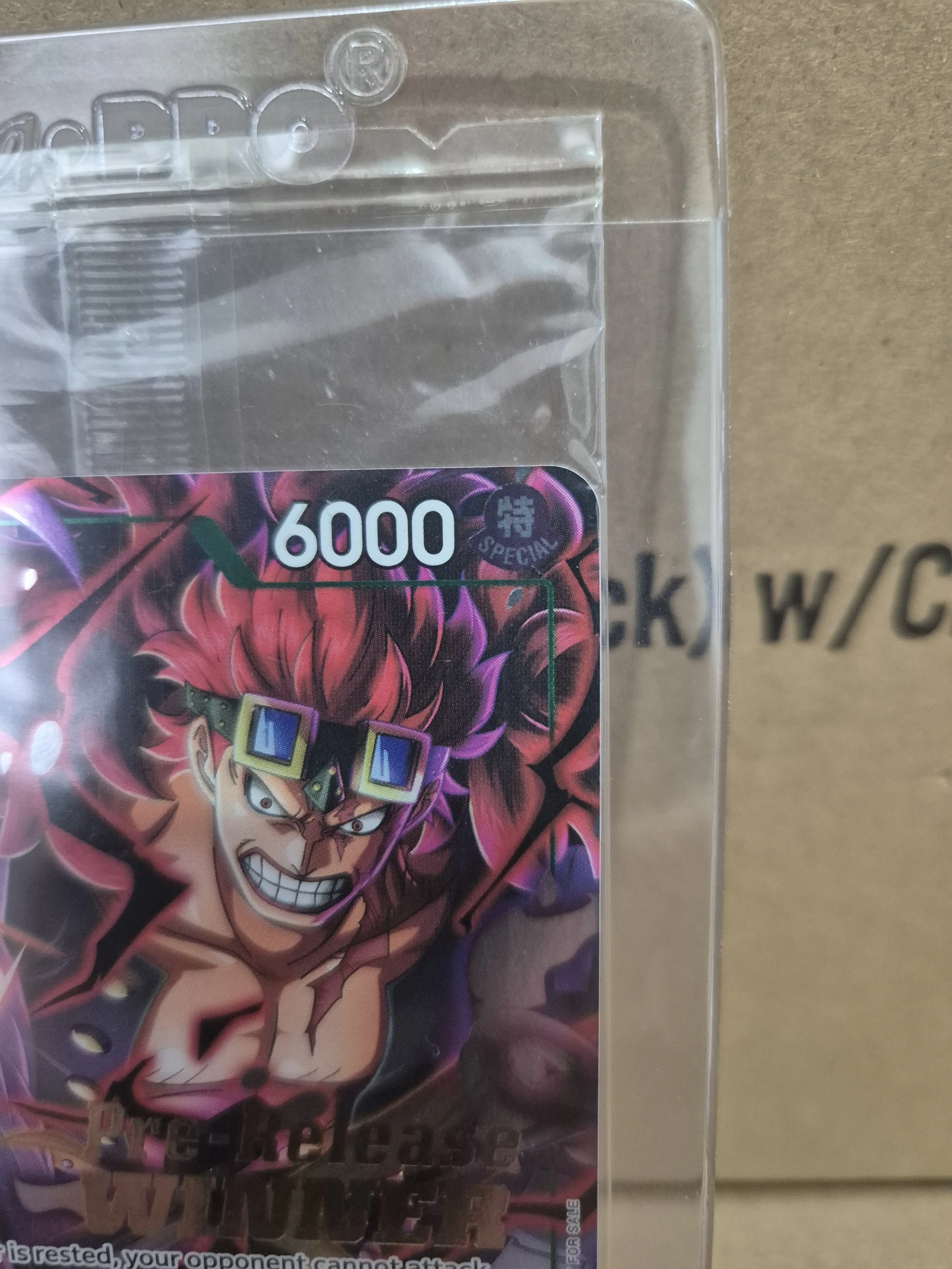 1000087629.jpg