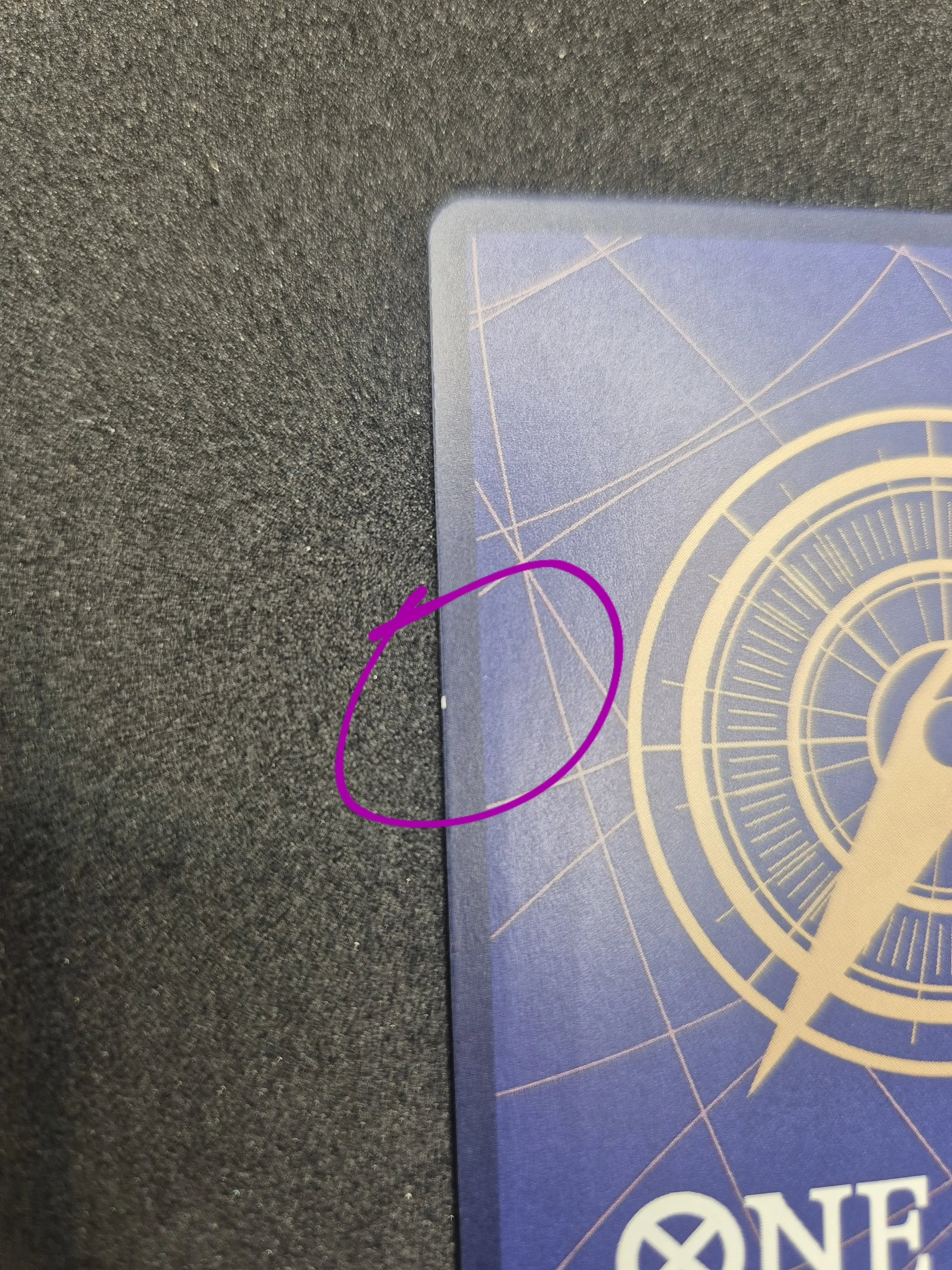 1000087852.jpg