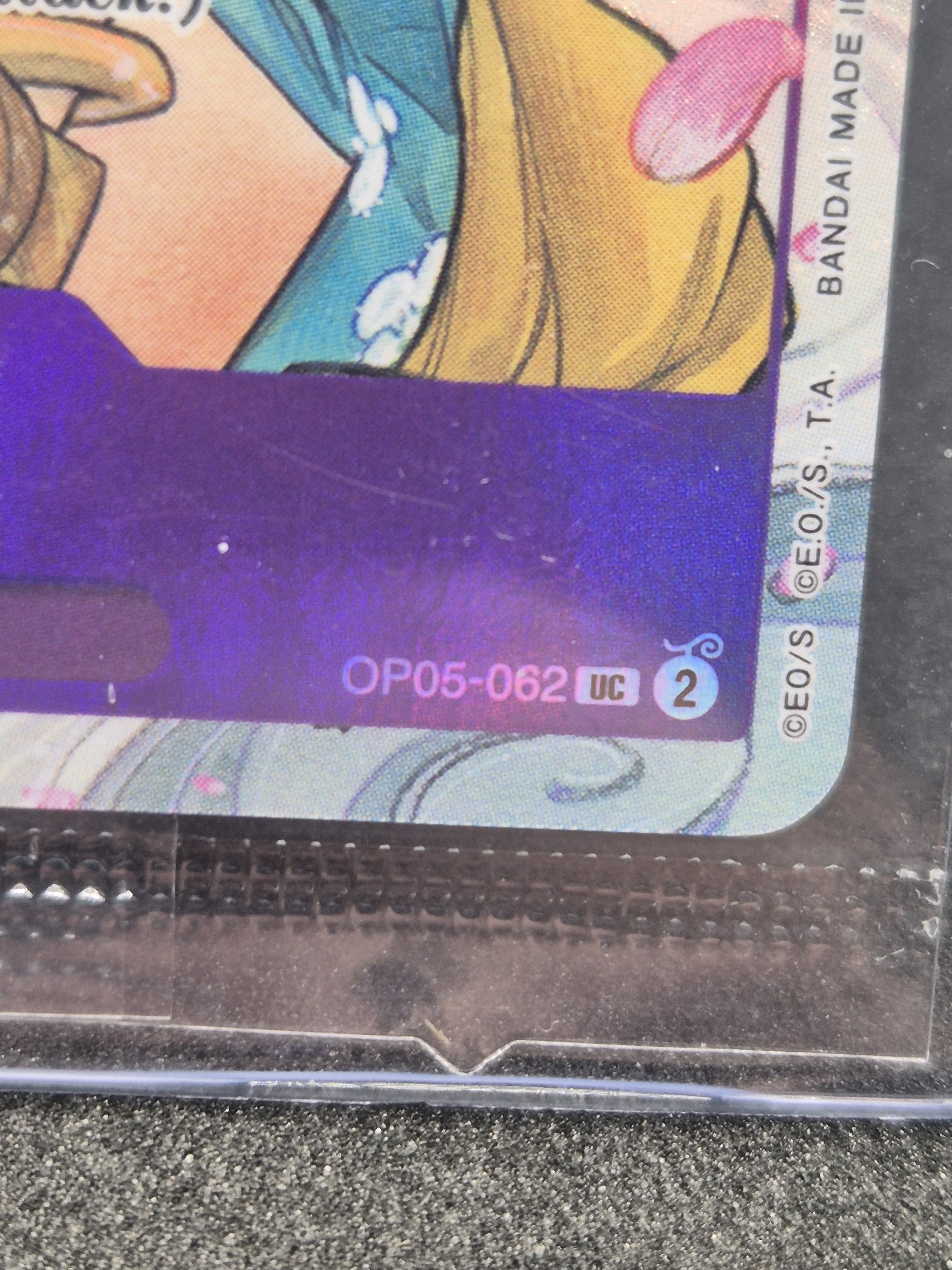 1000088104.jpg