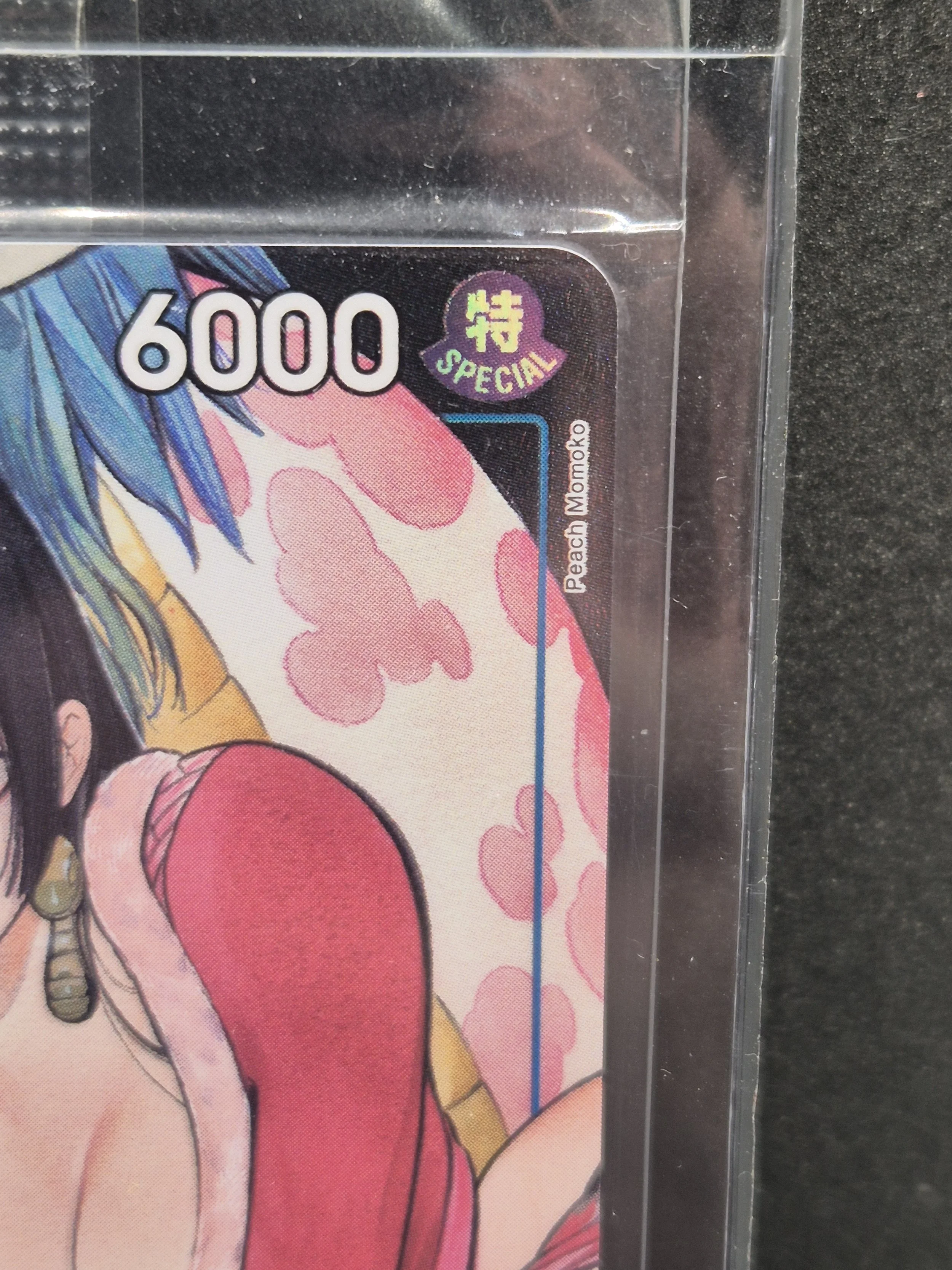 1000088109.jpg