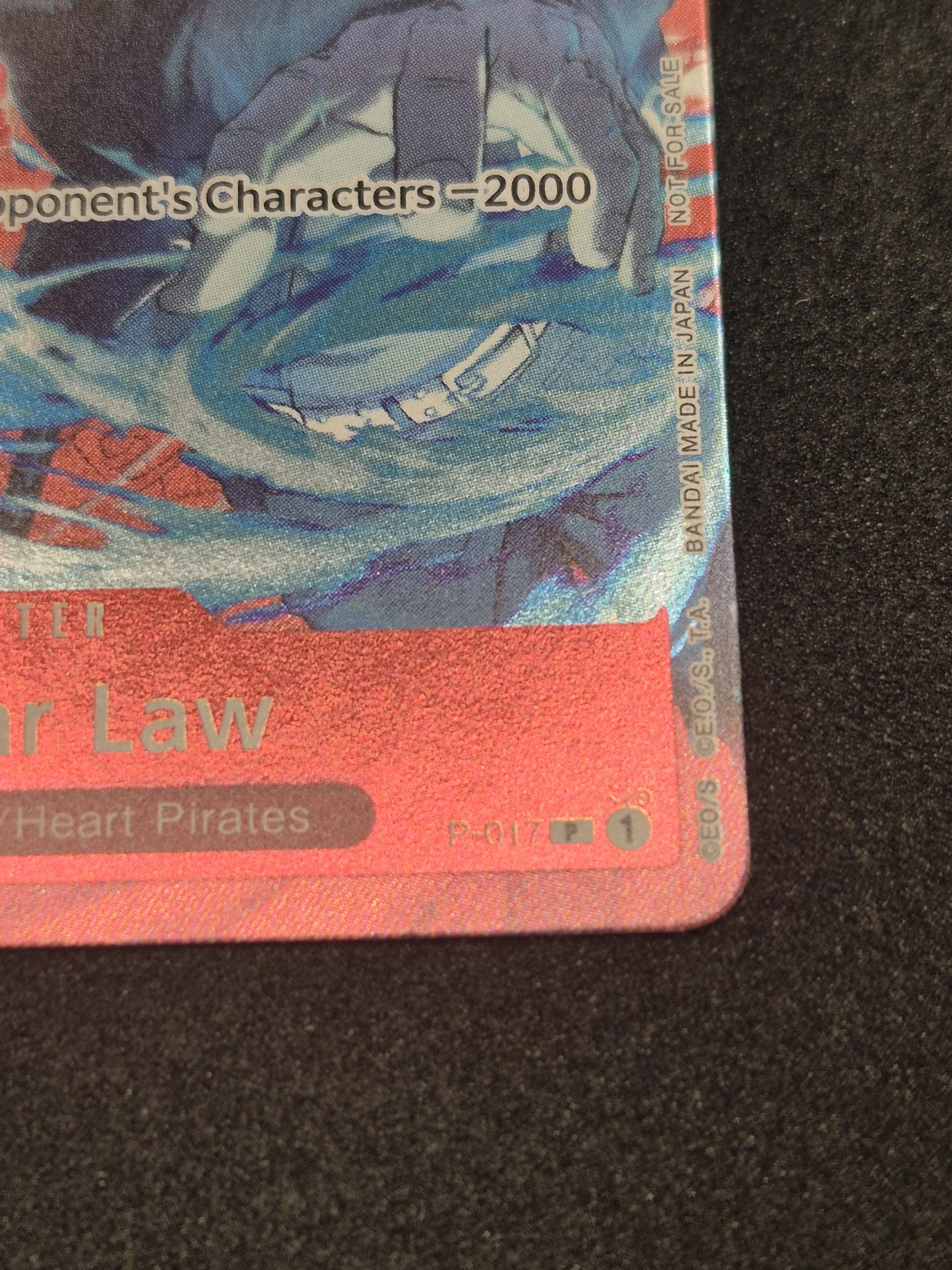 1000087994.jpg