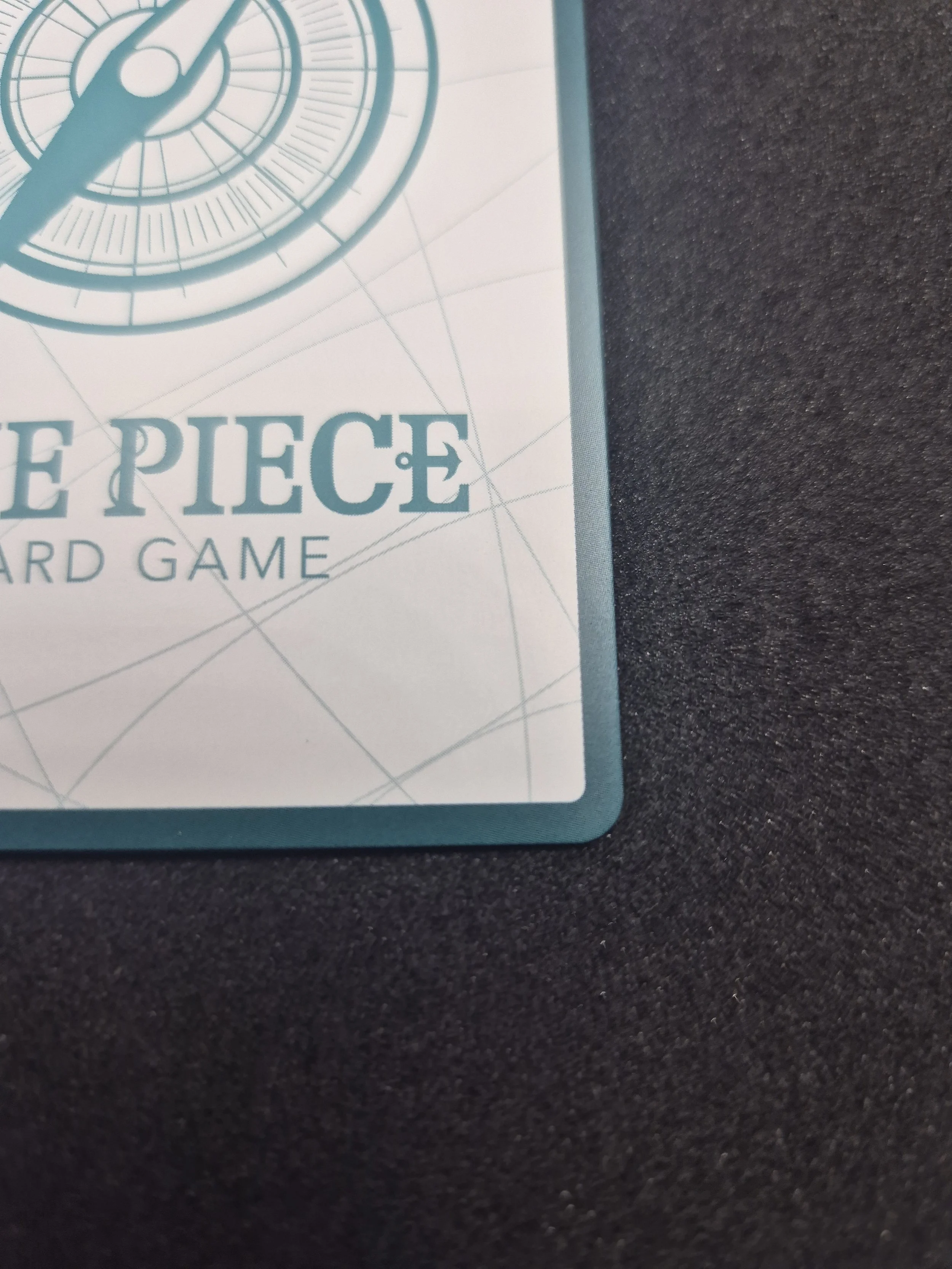 1000087841.jpg