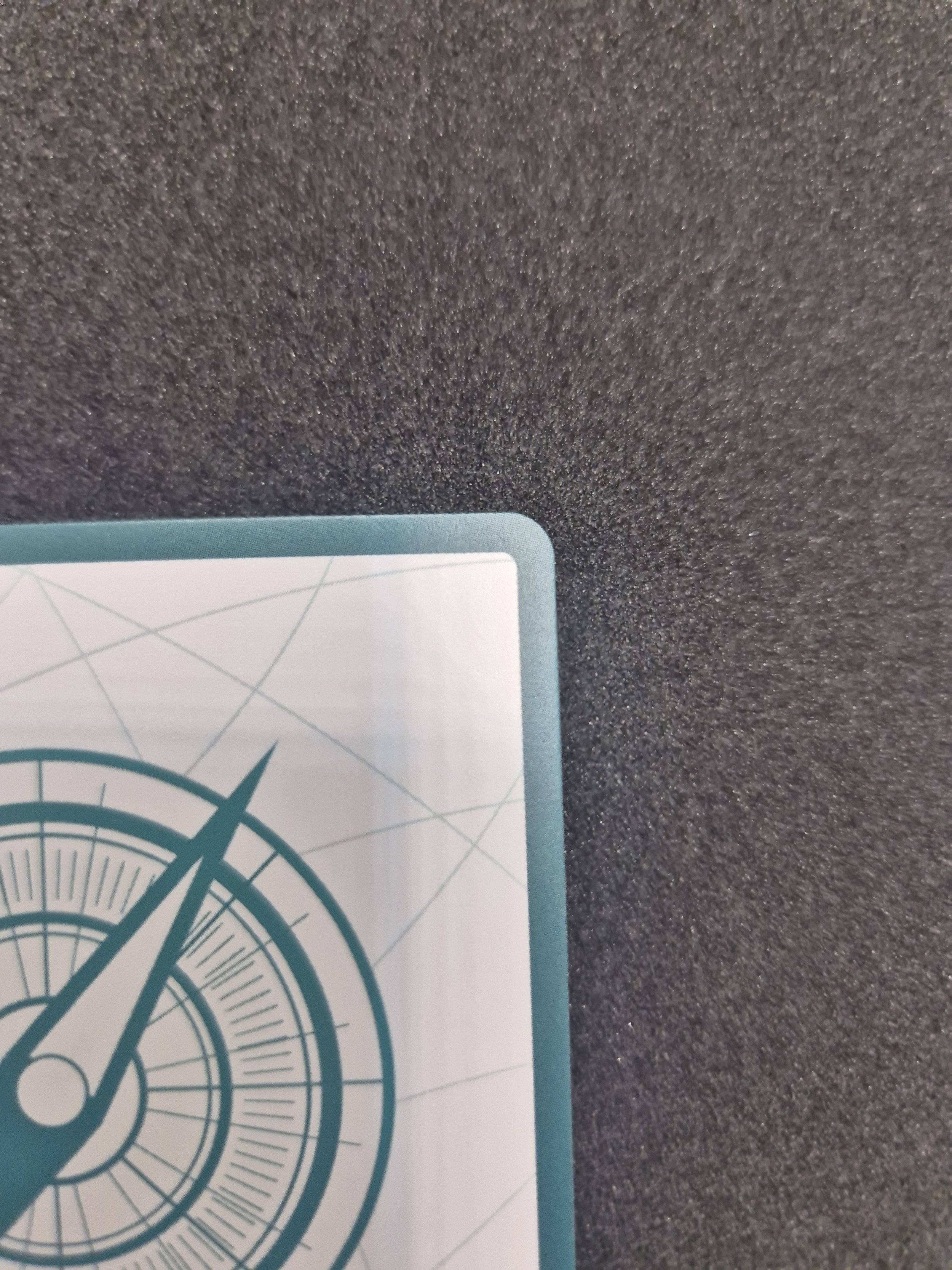 1000087840.jpg