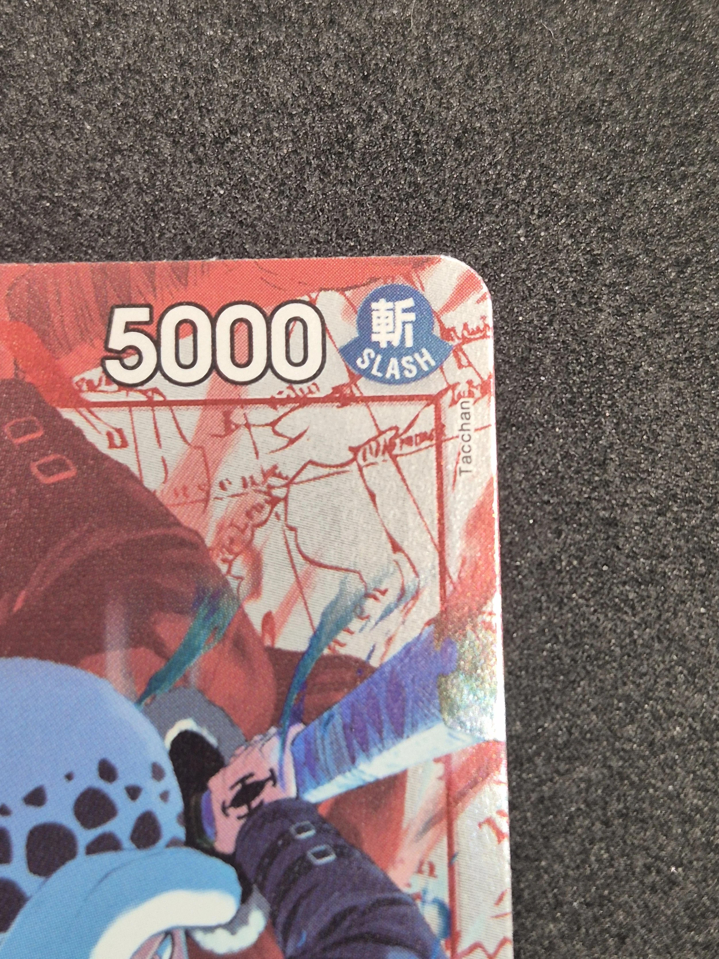 1000087993.jpg